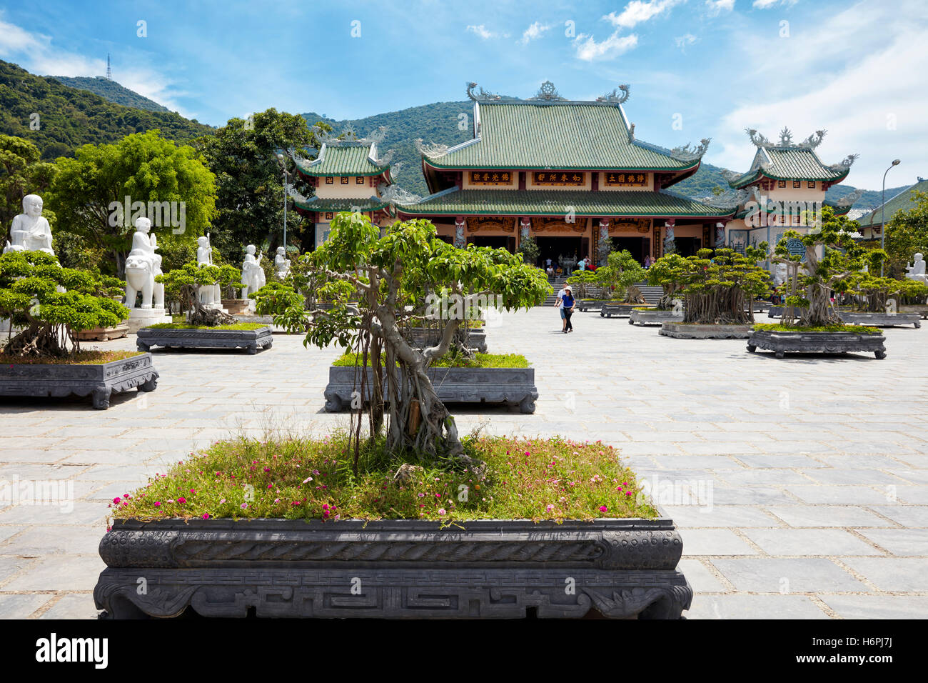 Giardino Bonsai a Linh Ung Pagoda, Da Nang, Vietnam. Foto Stock