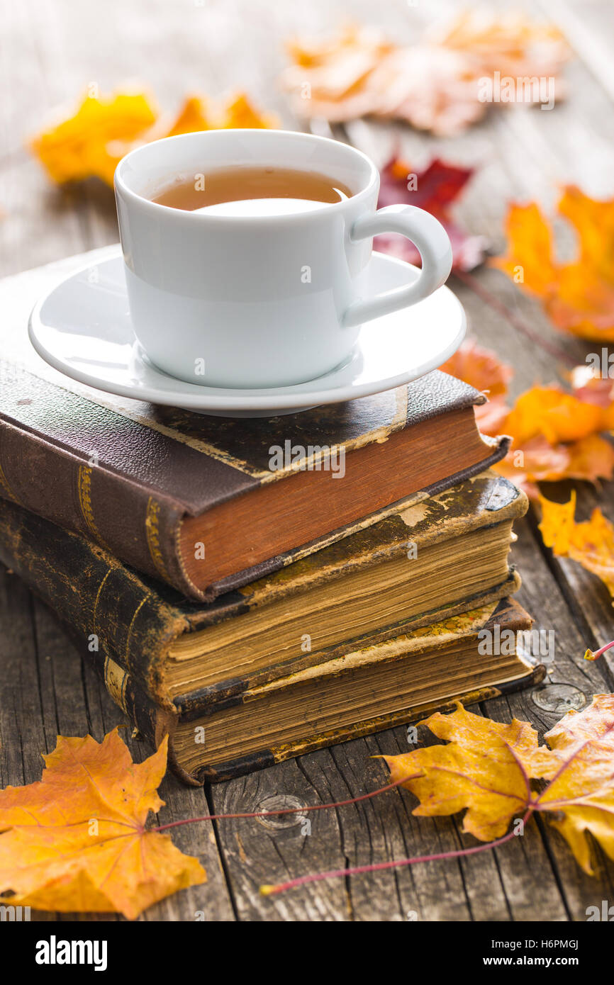 Tazza di tè con un vecchio libro e foglie di autunno Foto stock - Alamy
