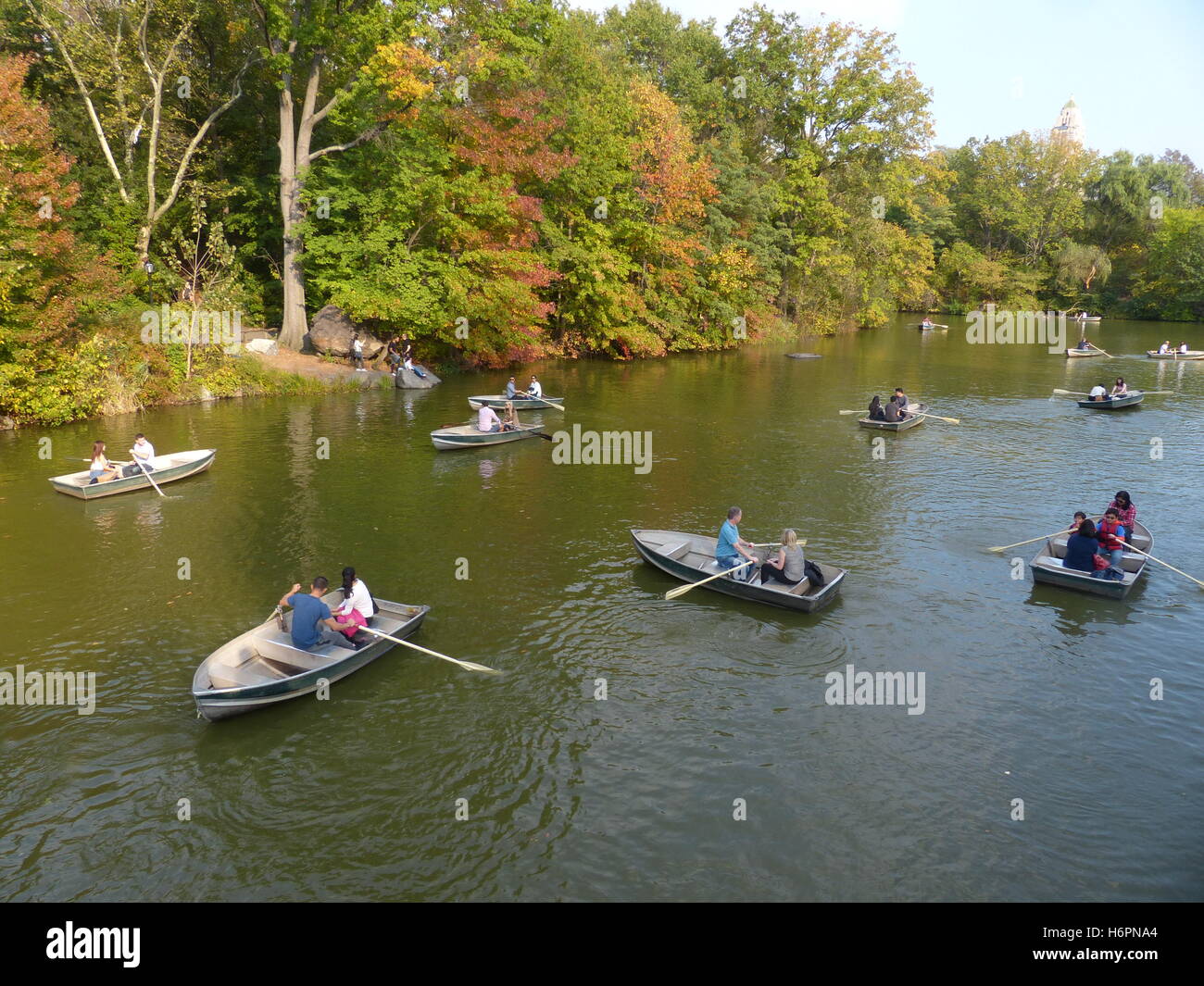 Barche a remi con coppie di Central Park, NY Foto Stock