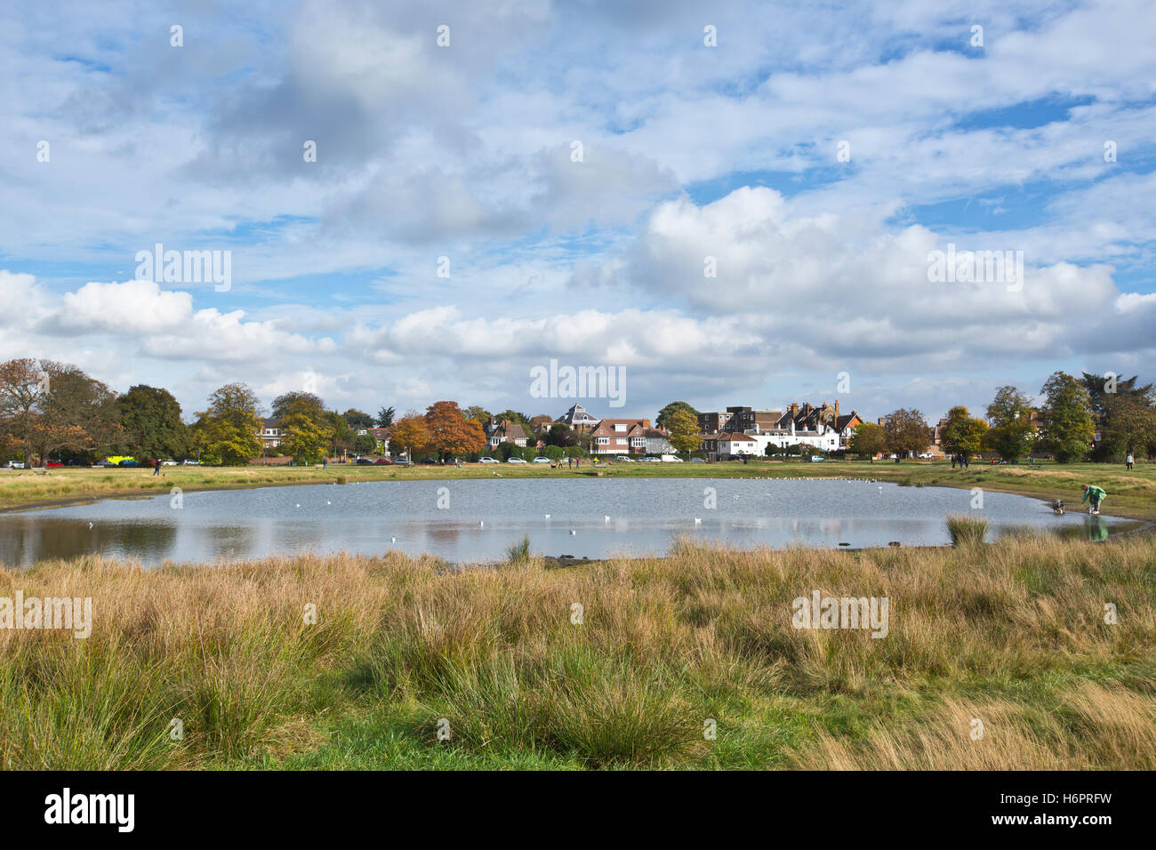 Rushmere stagno, Wimbledon Common, a sud-ovest di Londra, England, Regno Unito Foto Stock