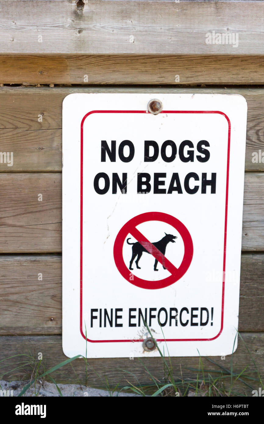 No cani sulla spiaggia segno lungo il Lago Huron in Grand Bend, Ontario Canada Foto Stock
