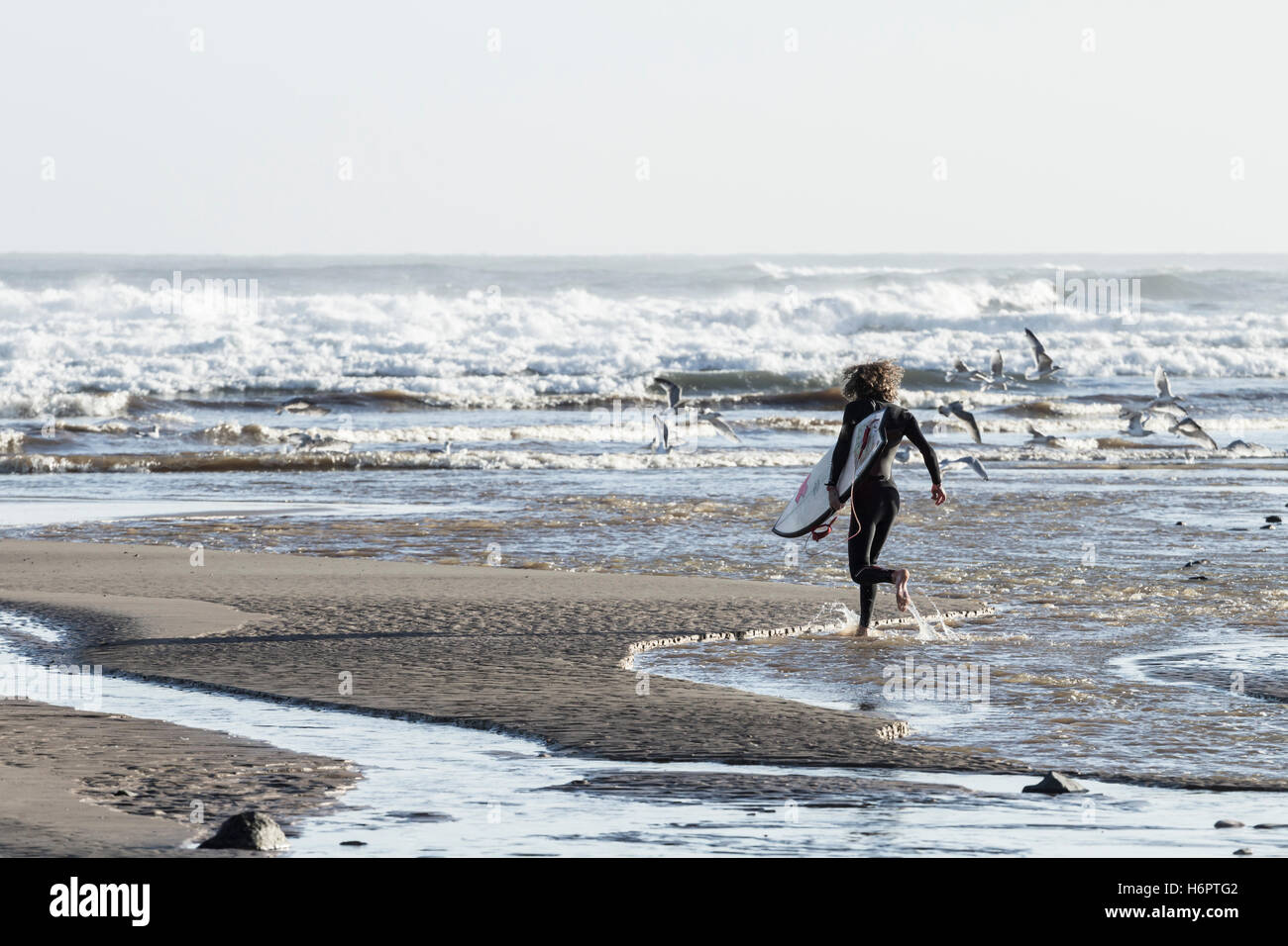 Surfer in esecuzione sulla spiaggia con la tavola da surf a Saltburn dal mare, North Yorkshire, Inghilterra, Regno Unito. Foto Stock