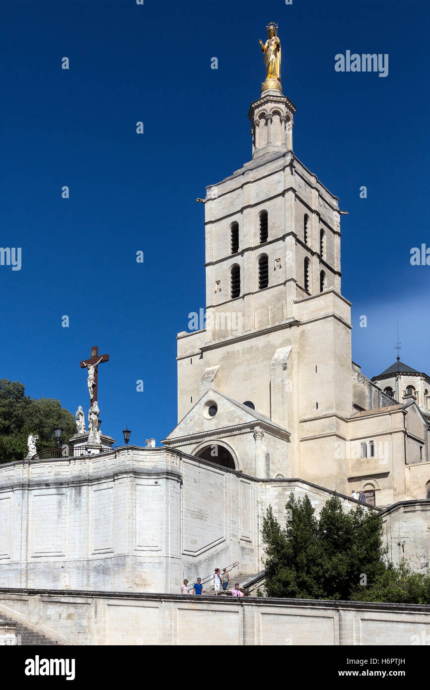 La cattedrale della città di Avignone nel dipartimento di Vaucluse sulla riva sinistra del Rodano in Francia Foto Stock