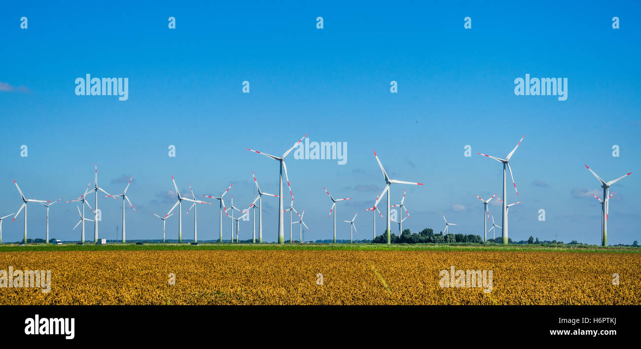 Germania, Schleswig-Holstein, vento parco vicino Wesselburen, Dithmarschen ha la maggiore densità di turbine eoliche in Germania Foto Stock