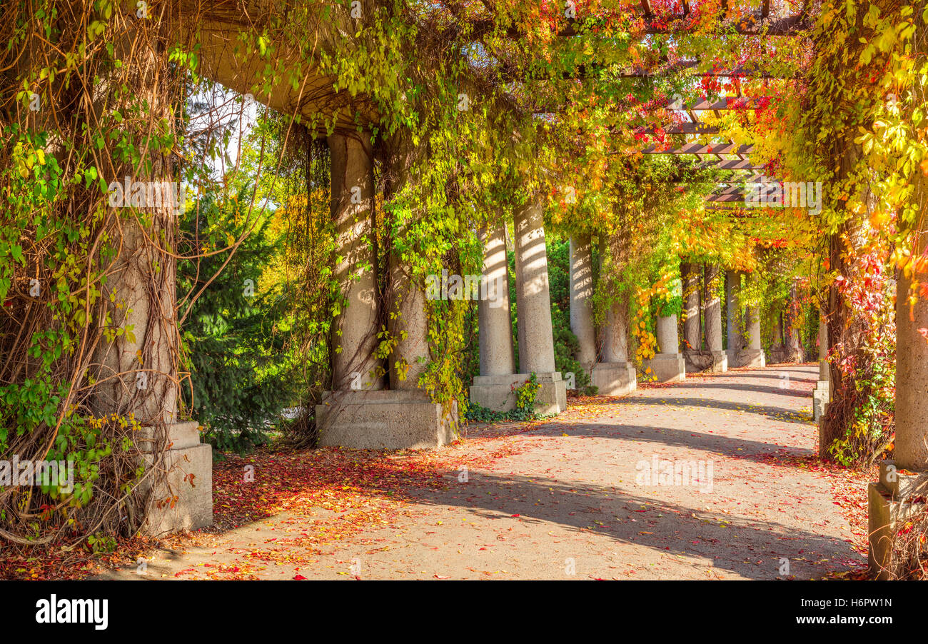 Pergola marciapiede in posizione di parcheggio Foto Stock