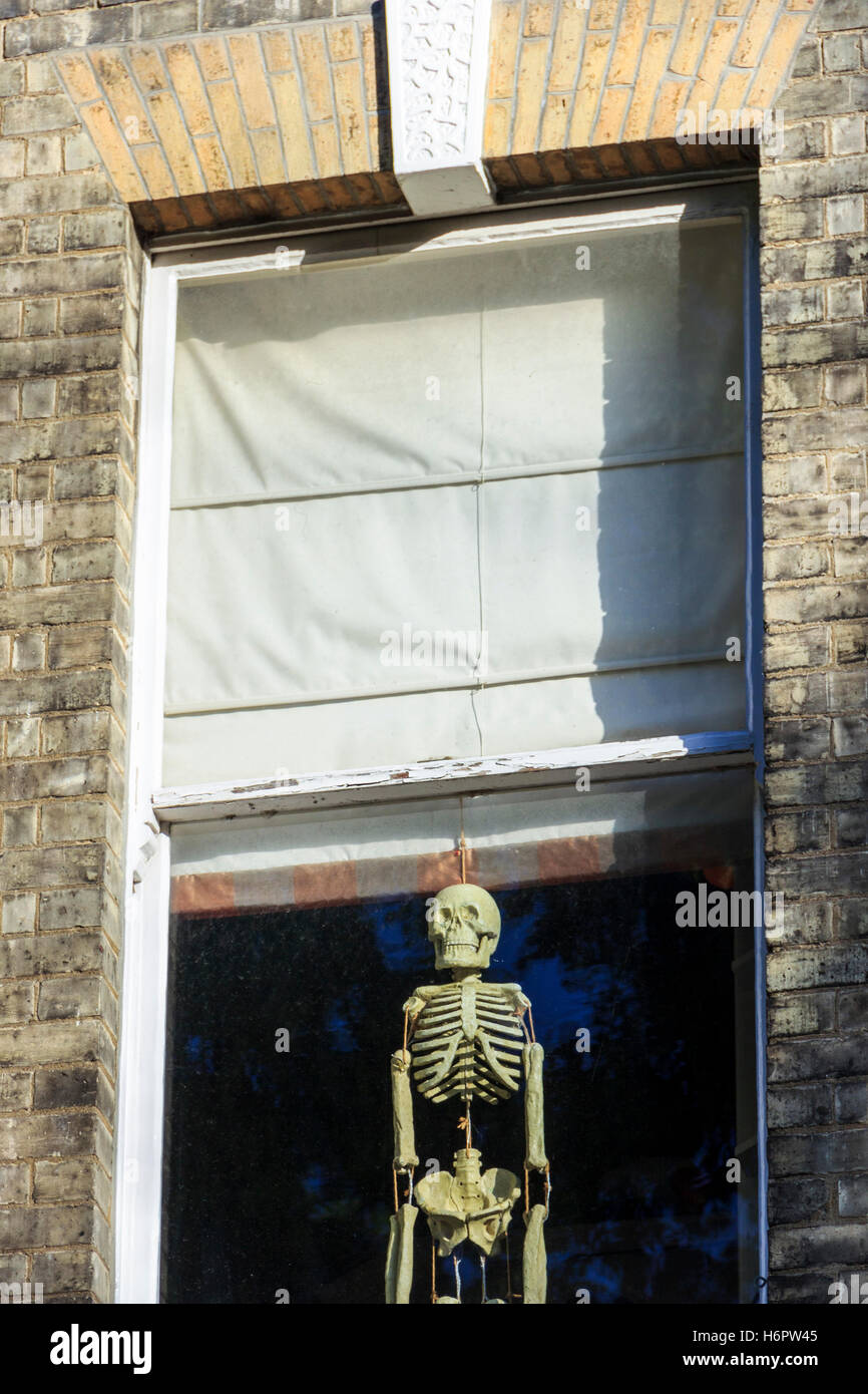 Uno scheletro umano appeso a un cieco nella finestra di una casa residenziale nel villaggio di Highgate, London, Regno Unito Foto Stock