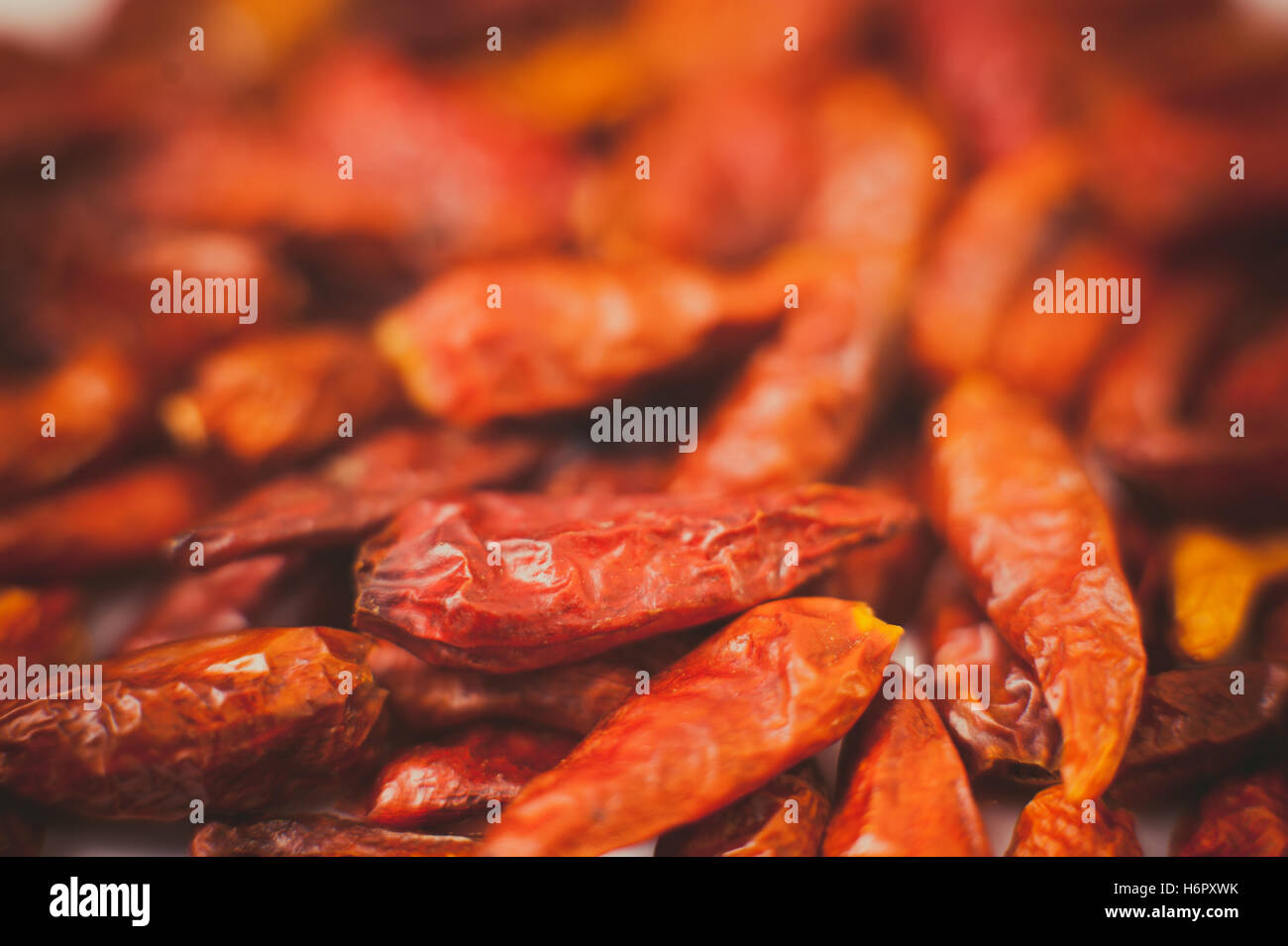 Consistenza secca di Red Hot Chili Peppers, macro close up e messa a fuoco selettiva Foto Stock