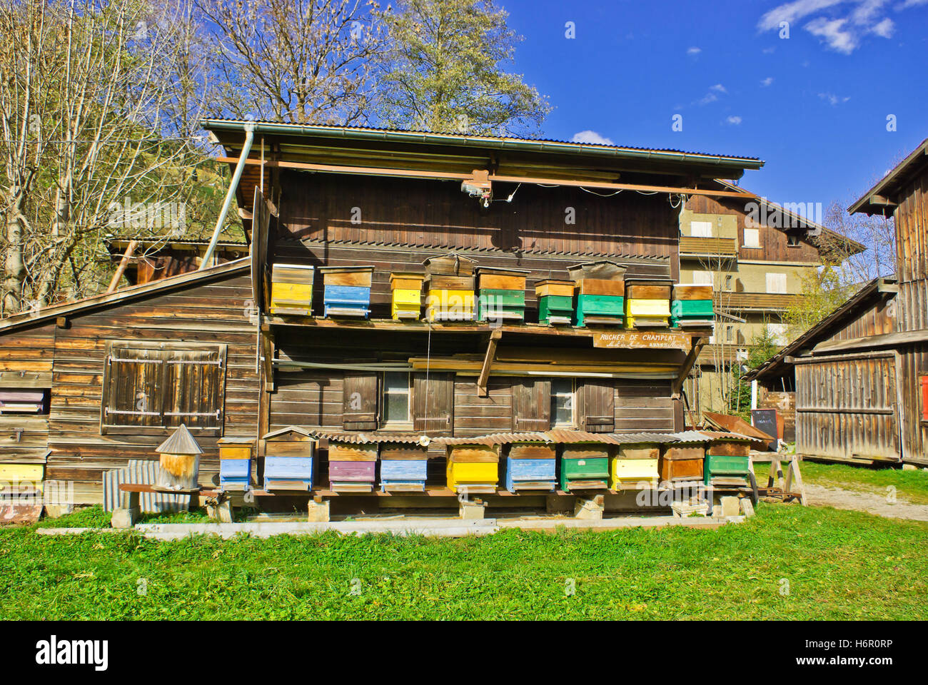 Ambiente naturale Foto Stock