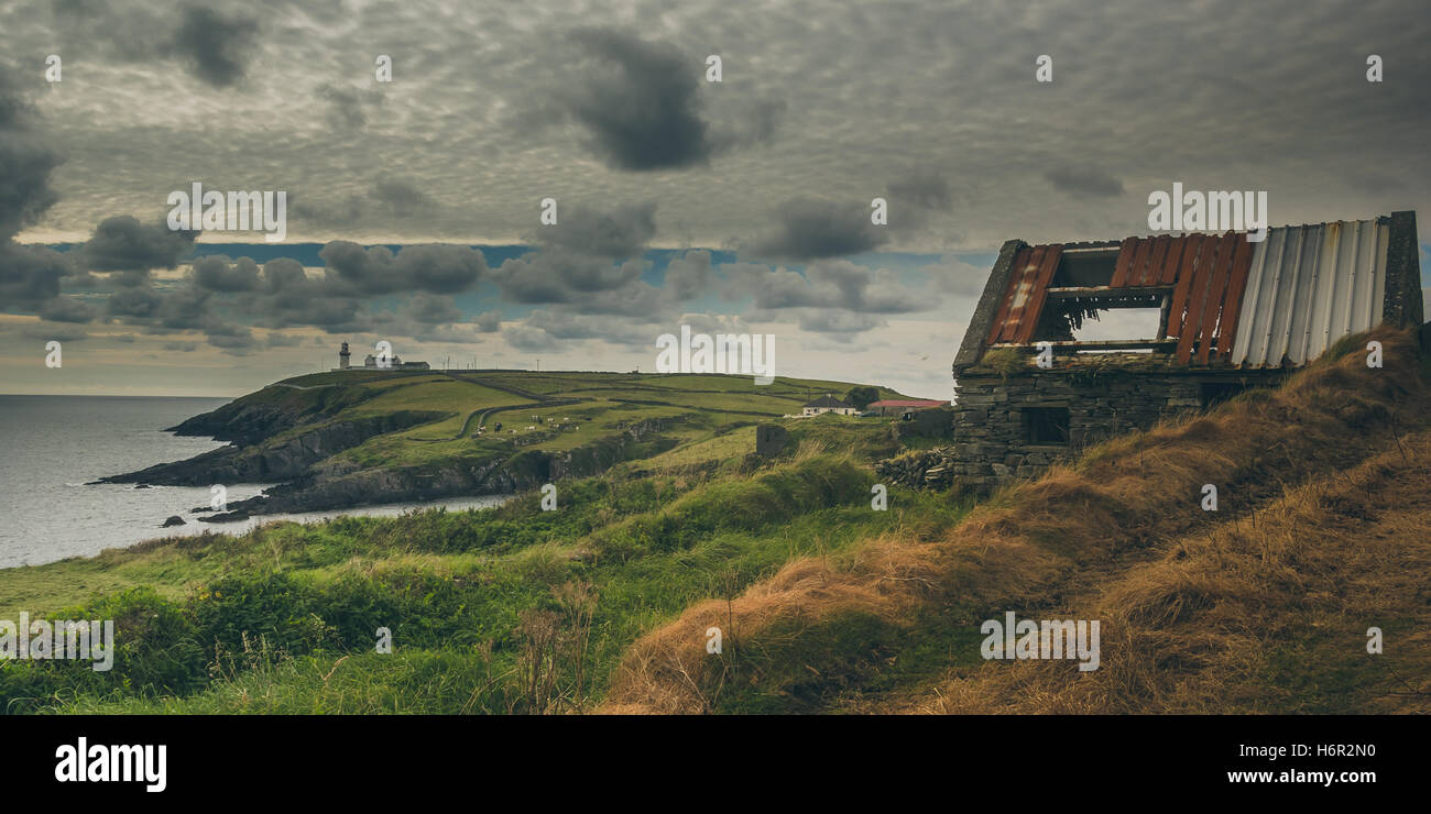 Un tipico paesaggio irlandese di nuvole, una casa di luce, un vecchio abbandonato casa in pietra con il tetto di stagno, di verde e di animali al pascolo. Foto Stock