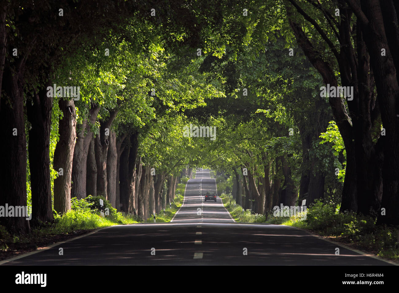 traffico della strada Foto Stock