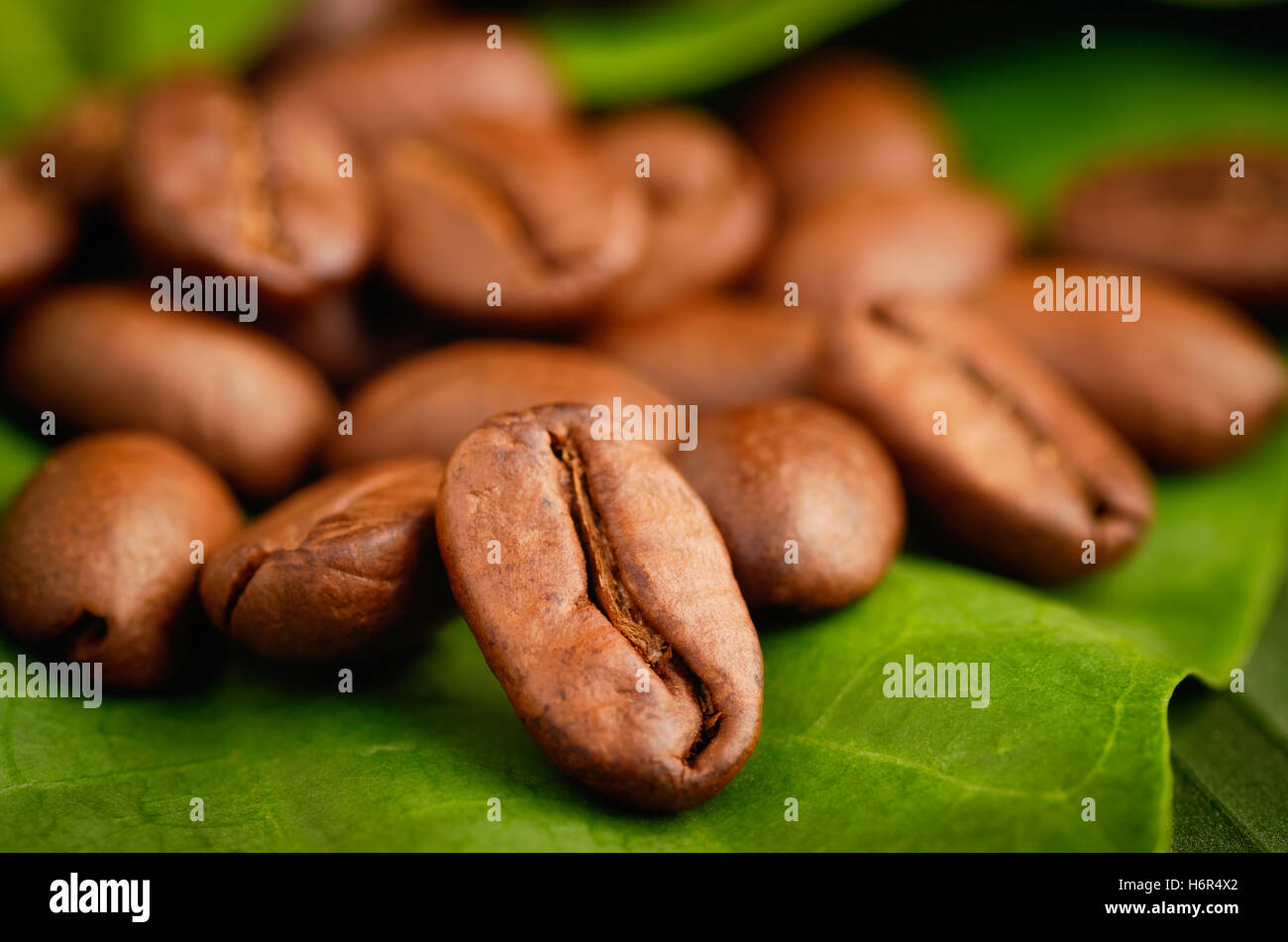 Il commercio equo e solidale caffè organico fagioli su una foglia verde. Foto Stock