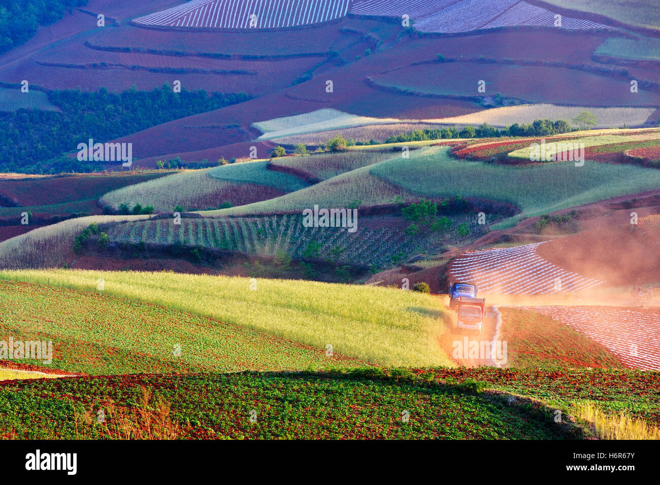 Costruzione casa travel case edifici color tree hill terra terra humus asia polvere agricoltura agricoltura vista campo di vista Foto Stock