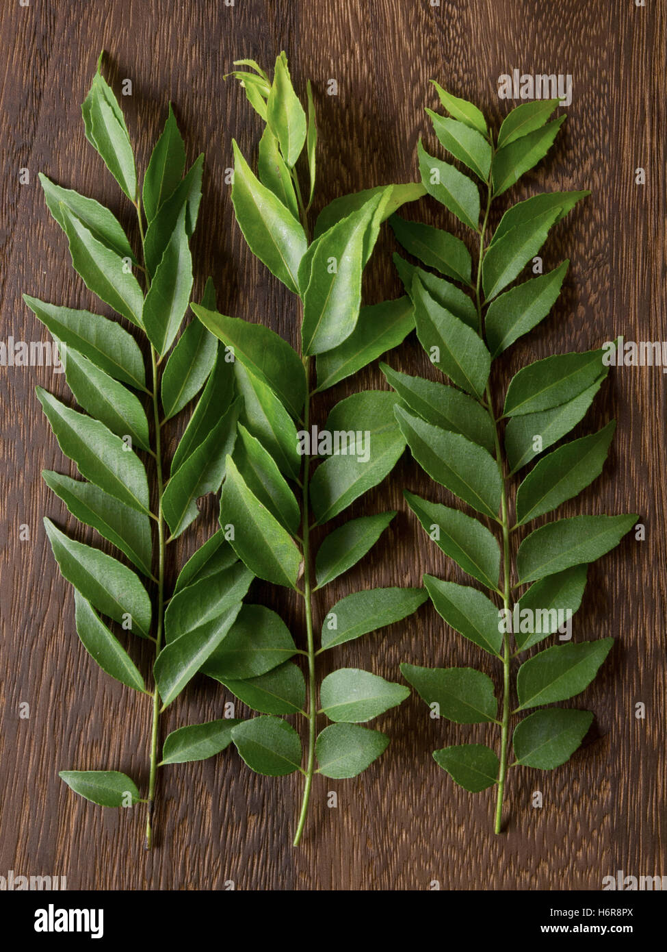 Foglie di spezie aromatiche ingrediente del curry indiano fogliame erbe  food aliment foglia colore spice closeup lascia cucina aromatica Foto stock  - Alamy