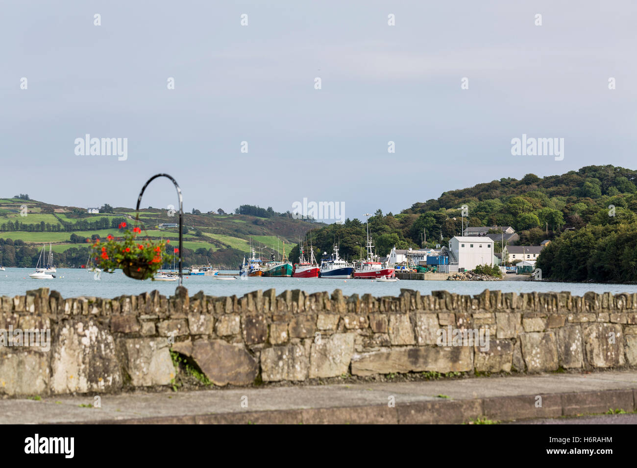 La pesca a strascico ormeggiata la flotta fino all Unione Hall, Glandore Harbour, County Cork, Irlanda Foto Stock