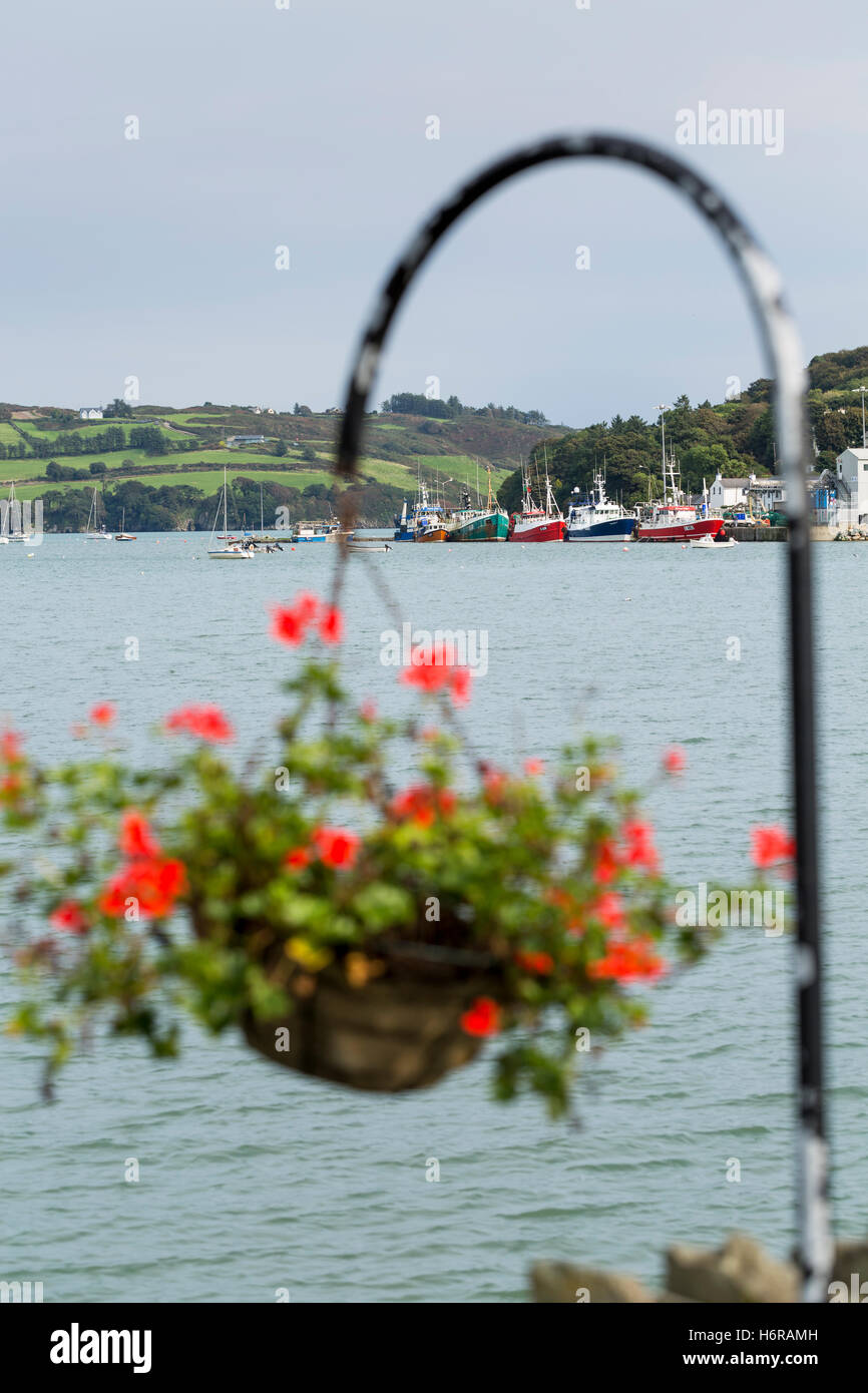 La pesca a strascico ormeggiata la flotta fino all Unione Hall, Glandore Harbour, County Cork, Irlanda Foto Stock