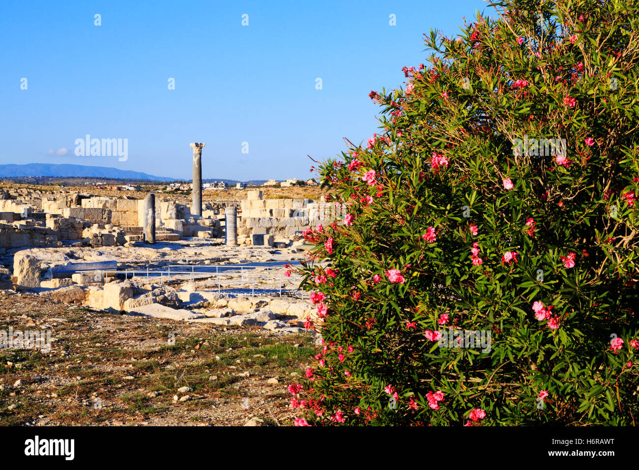 Rovine romane di antica Kourion, Curio, Cipro. Foto Stock