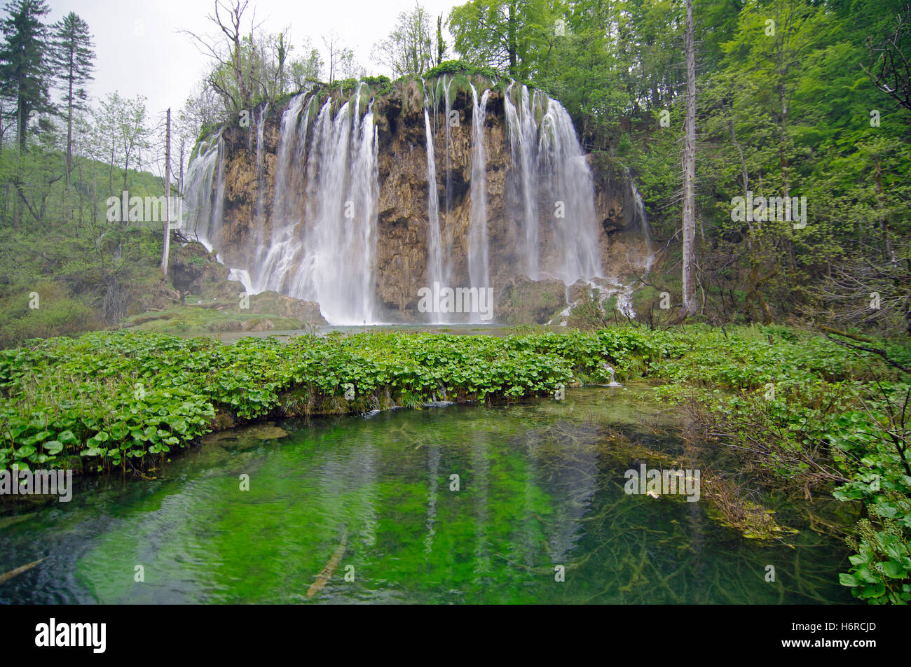Spettacolo naturale - plitvicka - Croazia Foto Stock