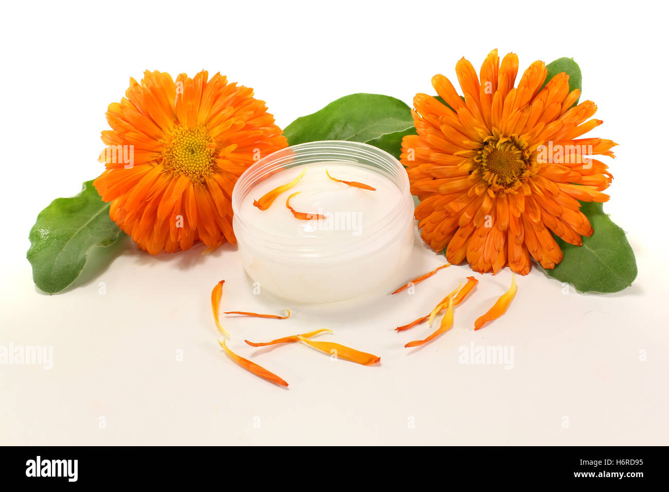 Fresco di unguento alla calendula Foto Stock