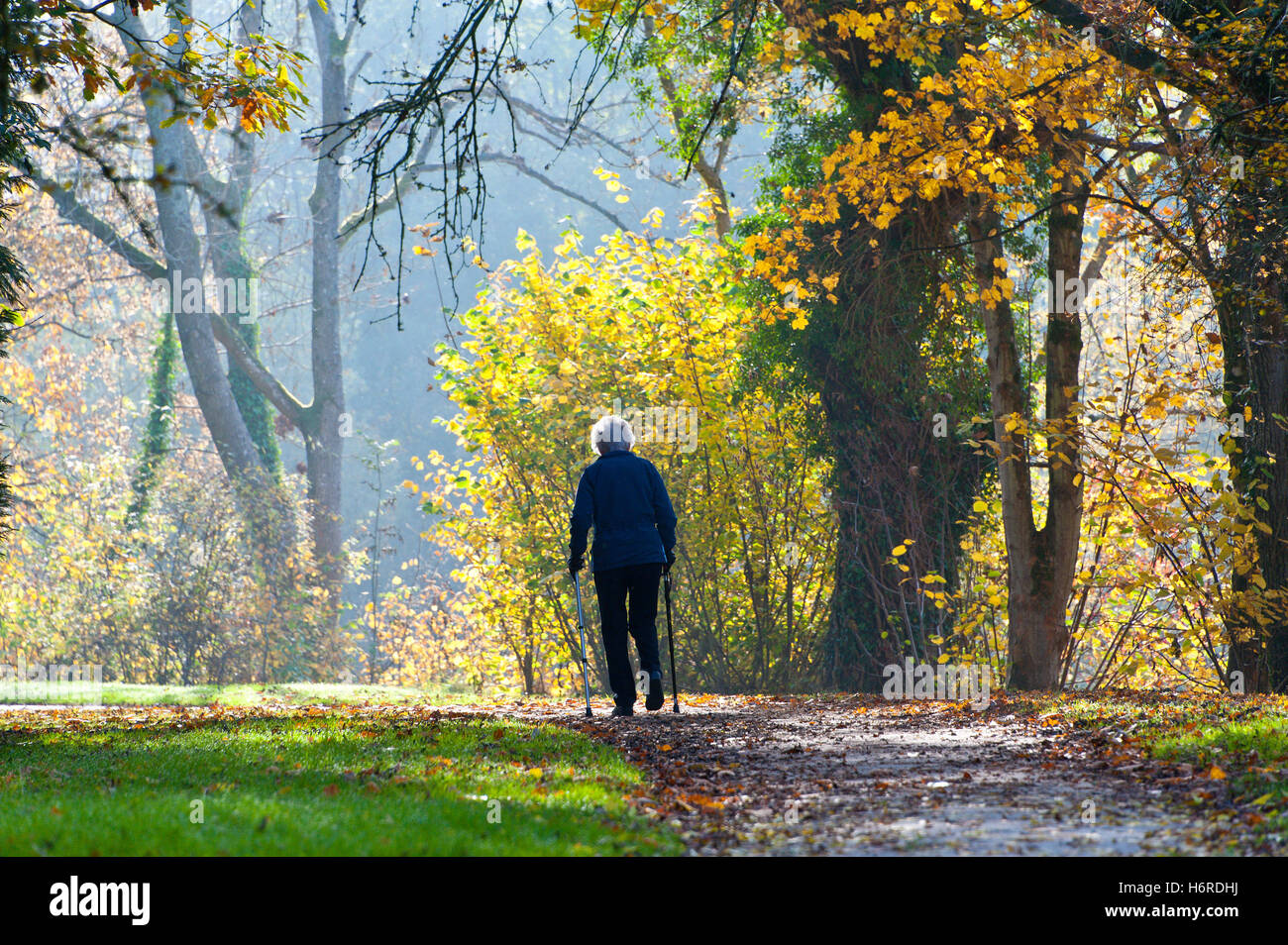 Builth Wells, Powys, Wales, Regno Unito. Il 31 ottobre, 2016. I colori autunnali sono visibili lungo le rive del fiume Irfon a Builth Wells, Powys, Wales, Regno Unito. Credito: Graham M. Lawrence/Alamy Live News. Foto Stock