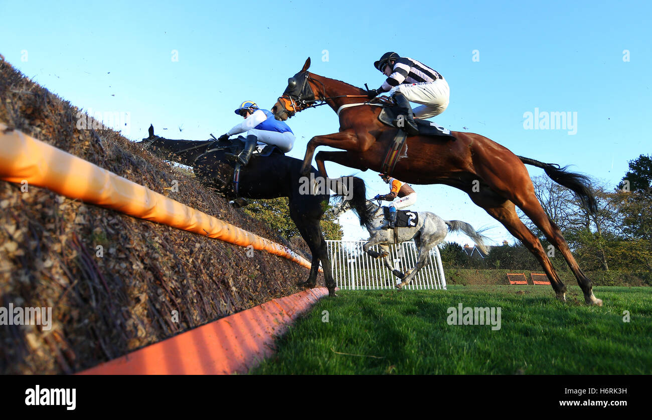 Plumpton, UK. Il 31 ottobre 2016. Mostra su cavalcato da T j O'Brien (rosa/nero Seta) cancellare una recinzione precoce durante la Breeders' Cup Live questo weekend su a gare Handicap Chase. Credito: teleobiettivo con immagini / Alamy Live News Foto Stock