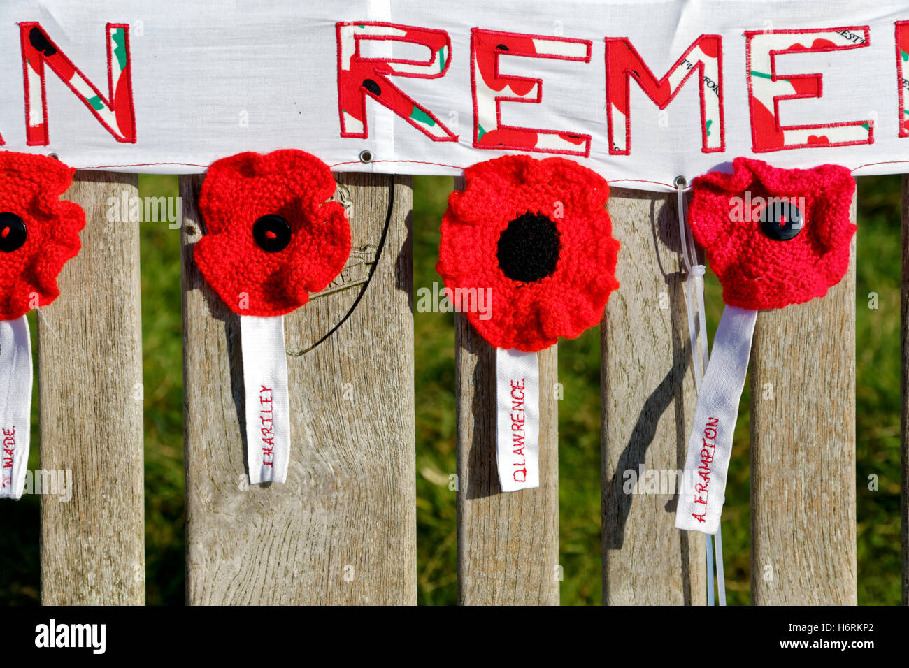 Battlesbury Hill, Warminster, Wiltshire, Regno Unito. 31 ott 2016. Un banco di memorial situato su Battlesbury collina sopra la città di guarnigione di Warminster nel Wiltshire che è dedicato a ricordare e onorare i membri del reggimento dello Yorkshire che hanno fatto il sacrificio estremo mentre in servizio in Afghanistan, è stata recentemente adornata con un banner che dice che "ogni uomo ricordato' e dodici papaveri in maglia per ogni soldato caduto come un omaggio di residente locale Lesley Fudge Credito: Andrew Harker/Alamy Live News Foto Stock