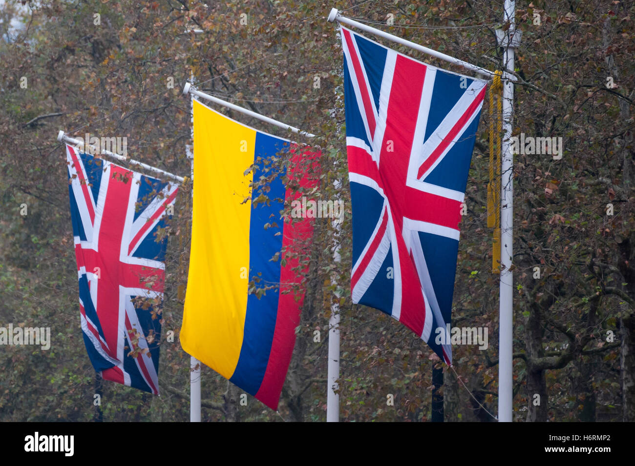 Londra, Regno Unito. 1 novembre 2016. Bandiere colombiane e Union Jack la linea Mall. Visita di Stato del Presidente della Repubblica di Colombia, Sua Eccellenza il presidente Juan Manuel Santos Calderón,: stato carrello arrivo a Buckingham Palace. Credito: Stephen Chung / Alamy Live News Foto Stock
