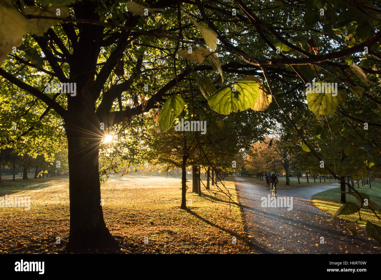 Glasgow, Scotland, Regno Unito. 1 Novembre, 2016. La mattina presto il sole autunnale a Glasgow Green. Credito: Tony Clerkson/Alamy Live News Foto Stock
