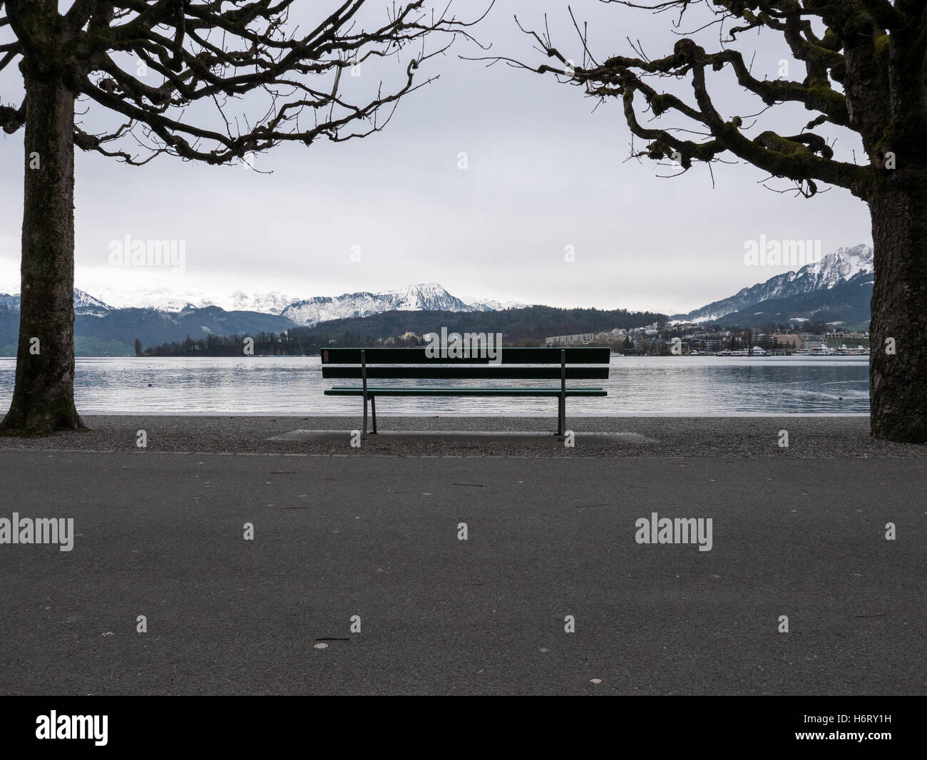 Panca guardando sopra il lago con alberi in background Foto Stock