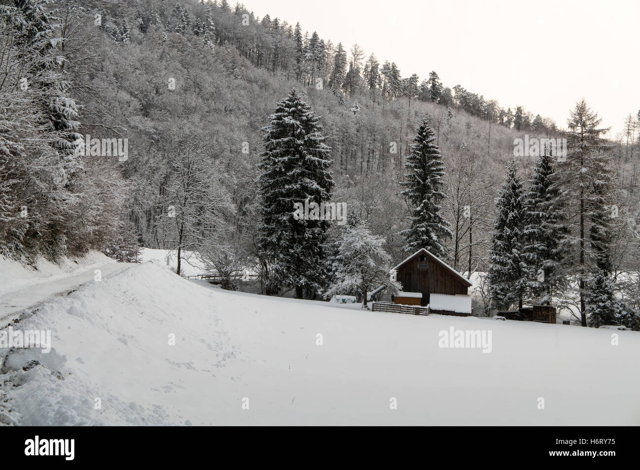 Capanna e gli alberi coperti di neve bianca Foto Stock