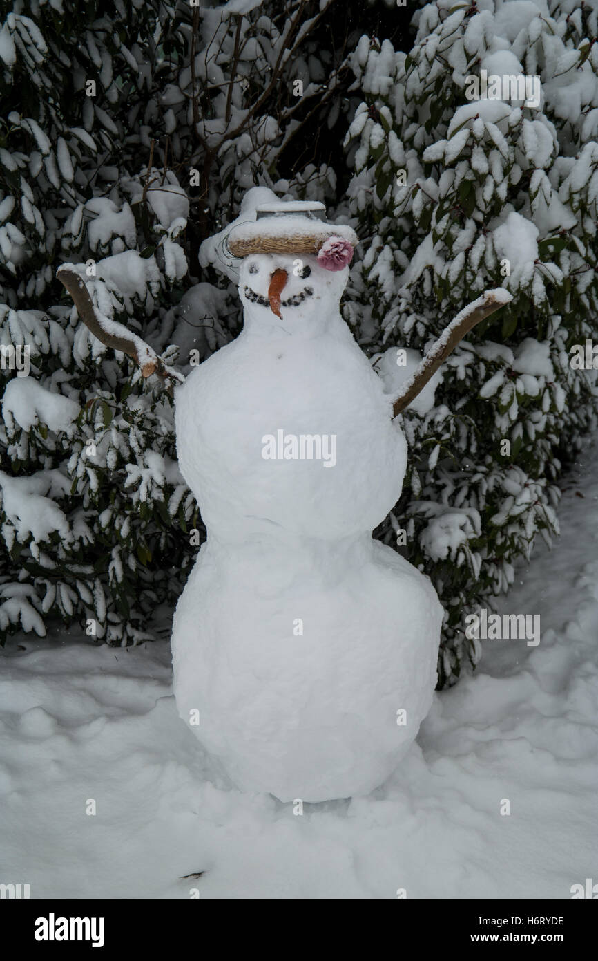 Un pupazzo di neve in piedi di fronte ad alcuni cespugli Foto Stock