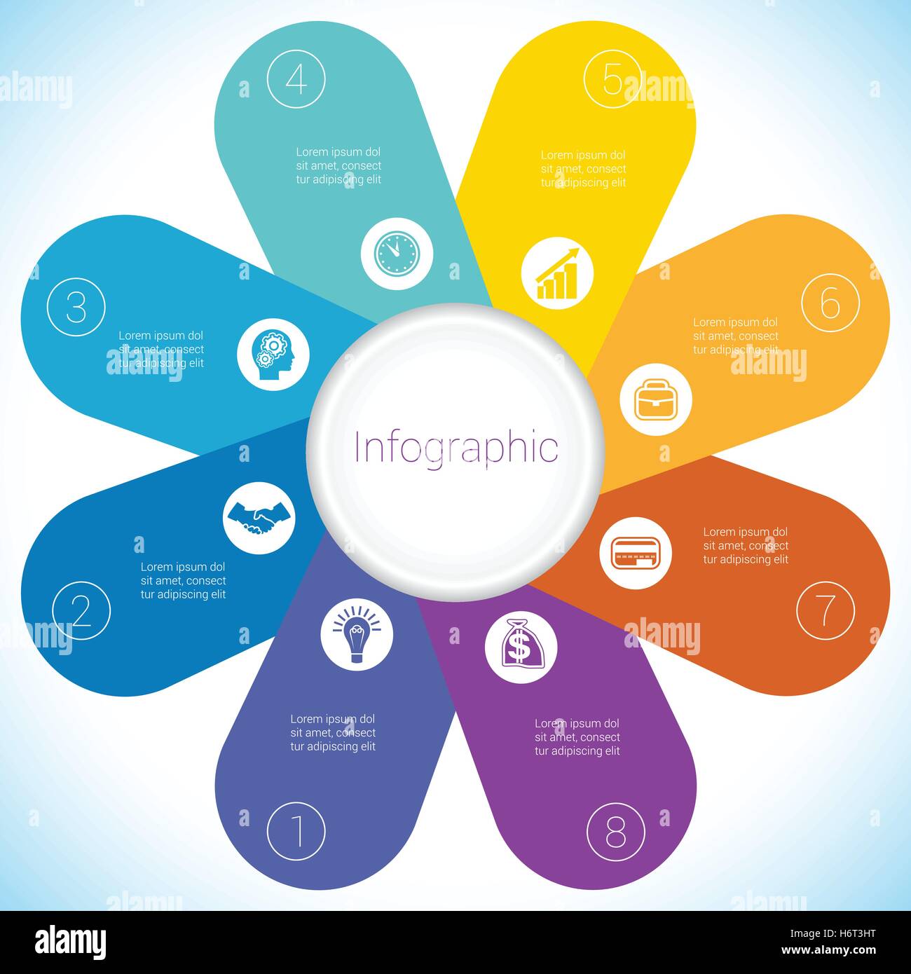 Camomilla fiori modello infografico colorati petali di otto posizioni. Illustrazione Vettoriale