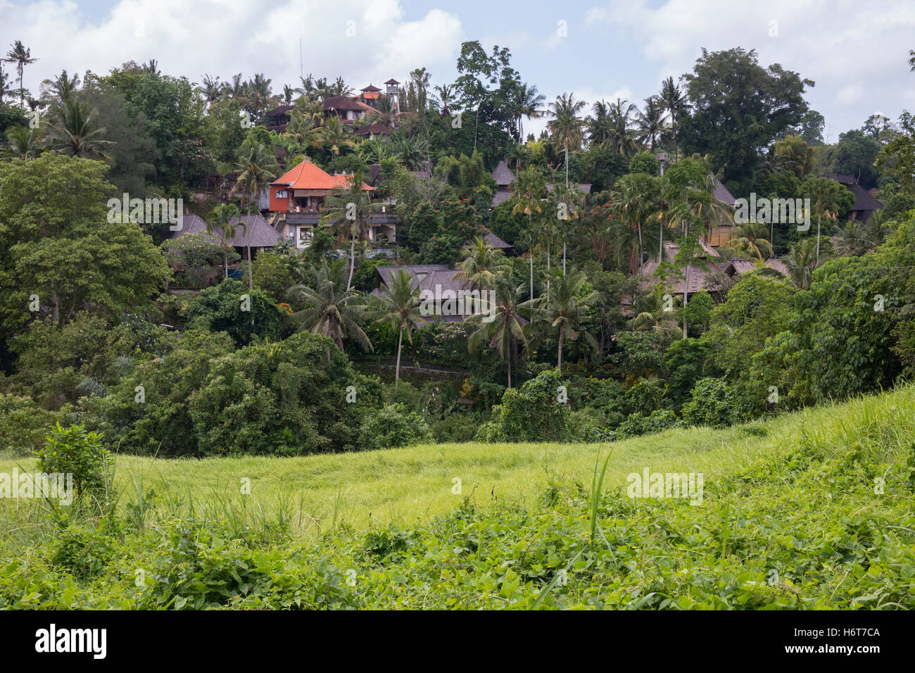 Villaggi e case circondate da alberi di palma, visto dalla cresta Campuhan a piedi. Ubud, Bali, Indonesia. Foto Stock