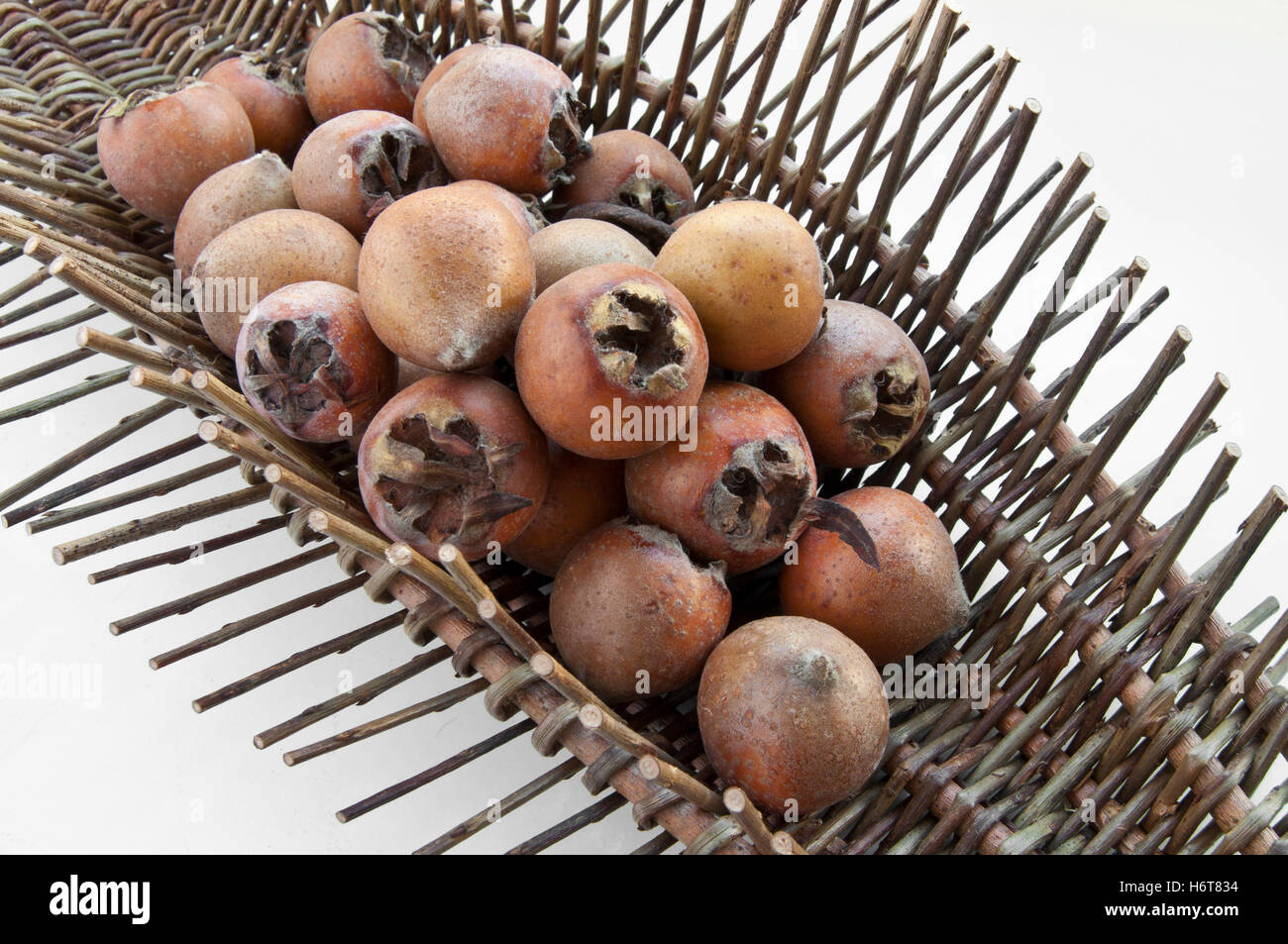 Frutta, dimenticare, reap, nespola, autunno autunno, pianta utile, progenie, frutti, Foto Stock