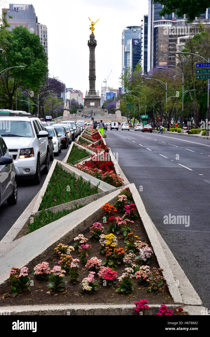 Mediana del divisore di piante in Città del Messico, Messico Foto Stock