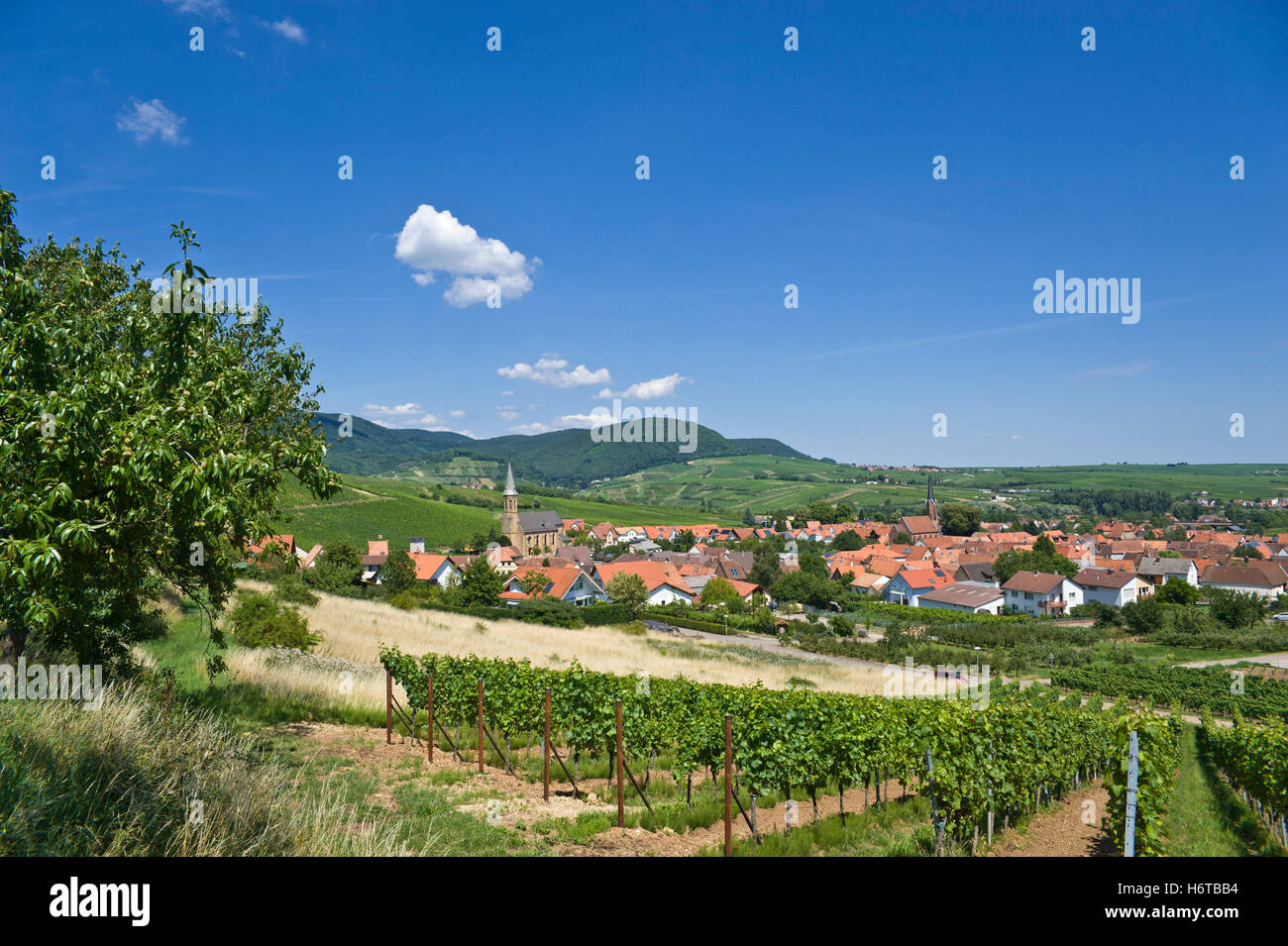 Ubicazione shot,birkweiler Foto Stock