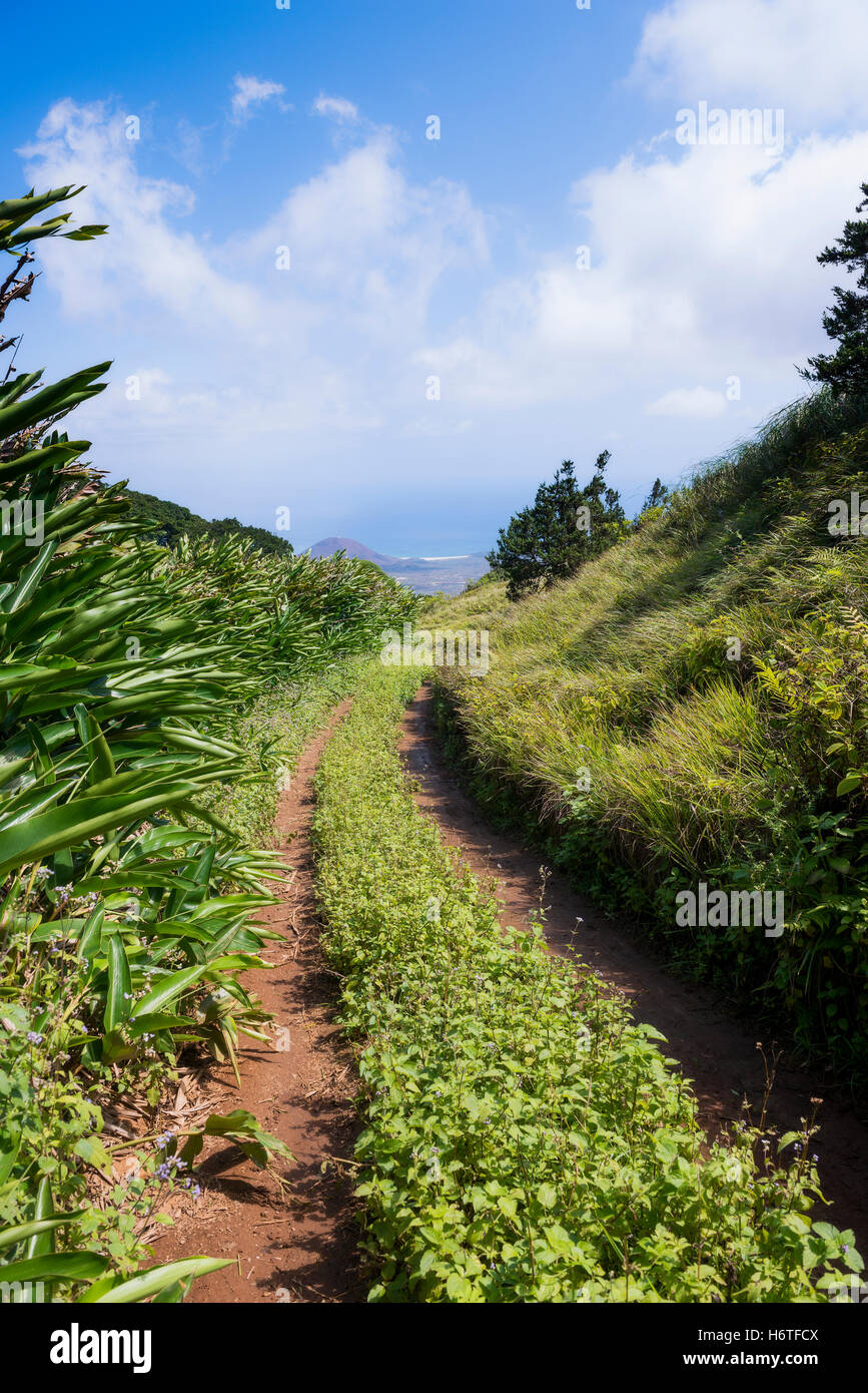 Vista dalla montagna verde Isola di Ascensione Oceano Atlantico con via fino al vertice e vista mare in lontananza Foto Stock