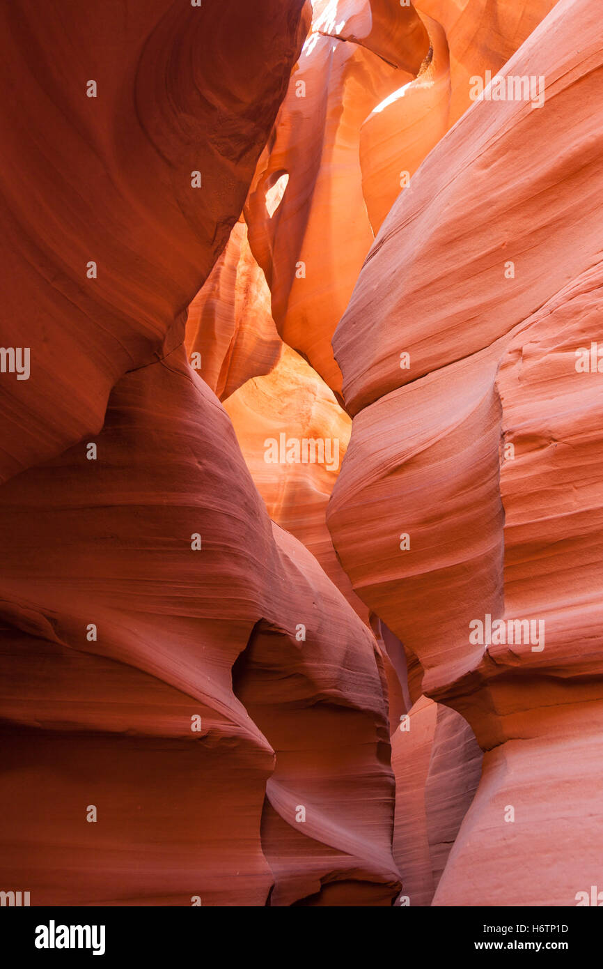 Ordine di pietra color deserto deserto parco nazionale della Grotta del fascio summerly estate usa parete di roccia ray calore illuminato di arenaria Foto Stock