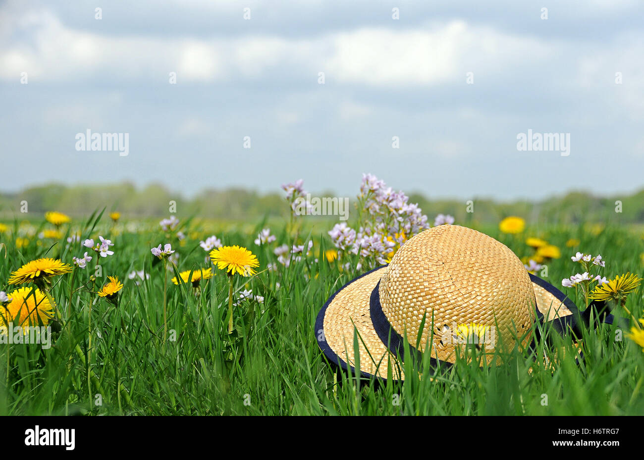 Hat, estate, summerly, copricapo, cappello di paglia, prato, il firmamento cielo, cappello, Foto Stock