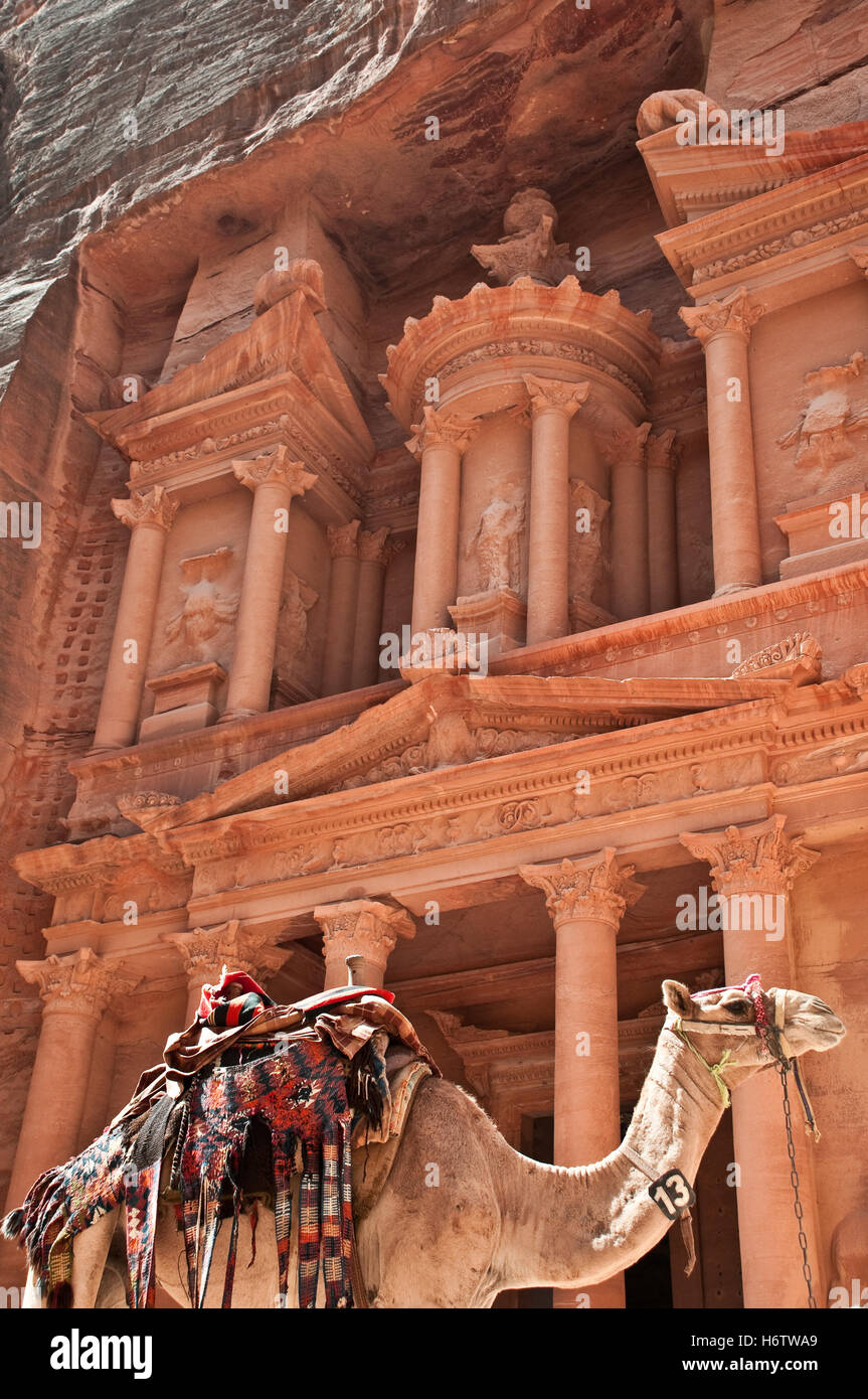 Dettagli di viaggio tempio storico città cultura cittadina nel deserto di pietra wasteland turismo camel rock rovina tomba giordania facciata di pietra arenaria Foto Stock