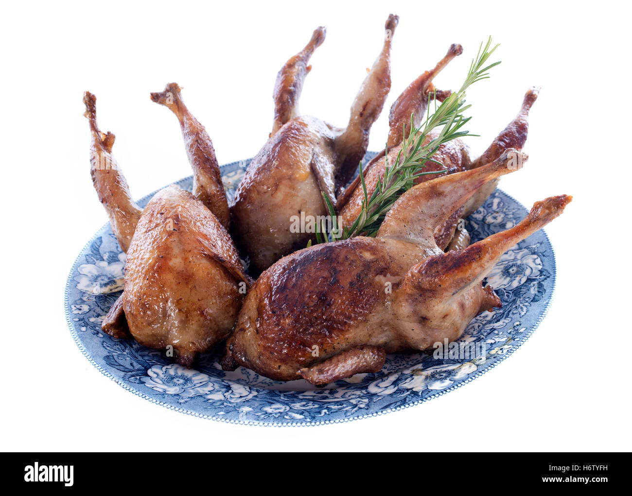 Cibo aliment bird piastra cotta alla brace carcassa carne di quaglia isolato quattro studio bollire cuochi cottura per bollitura celebrazione di partito Foto Stock