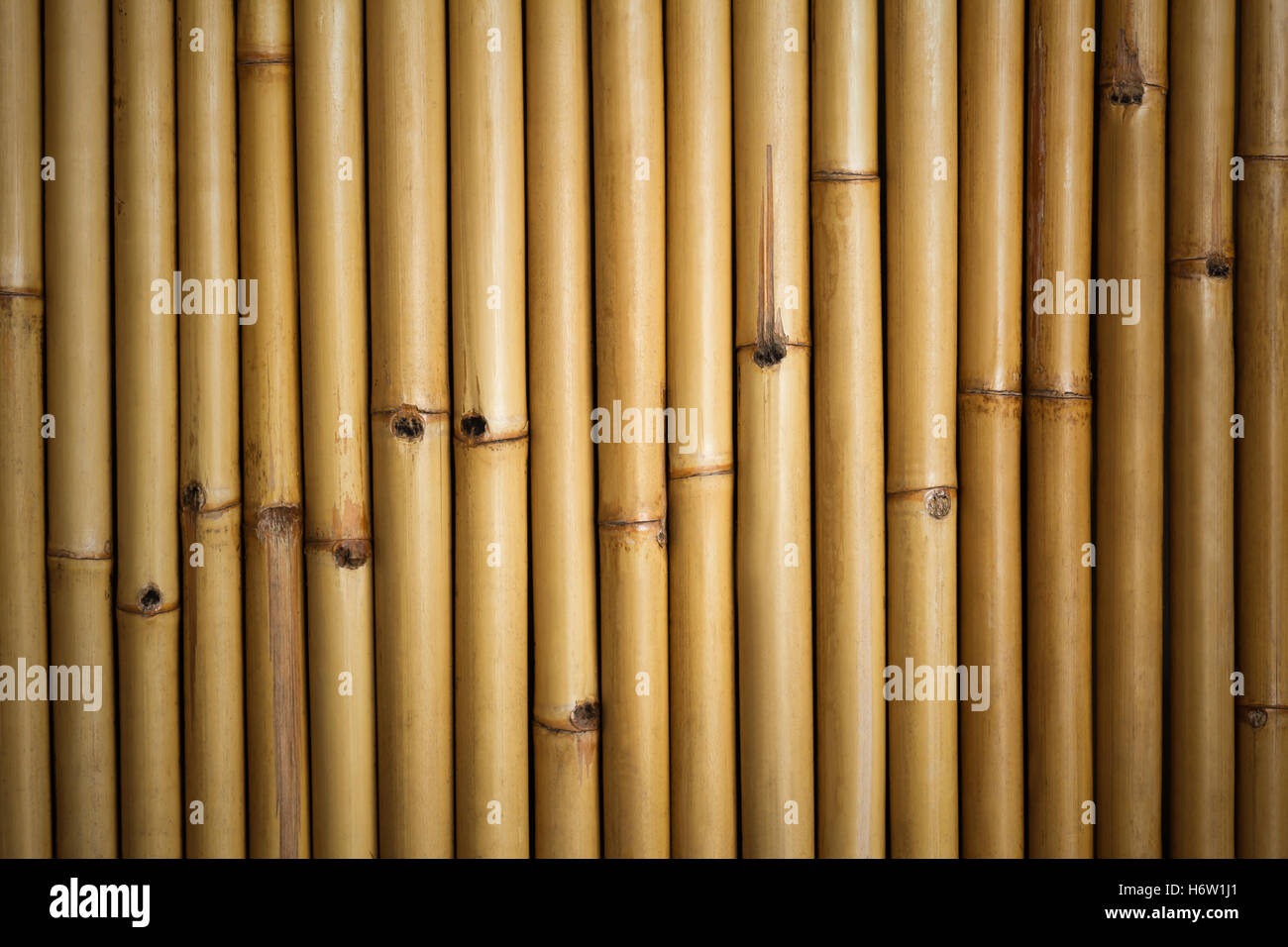 Cultura giardino con alberi di legno marrone marrone brunette asia diramazione di parete decor tradizionale piazza bamboo si legano decorazione recinzione recinzione Foto Stock