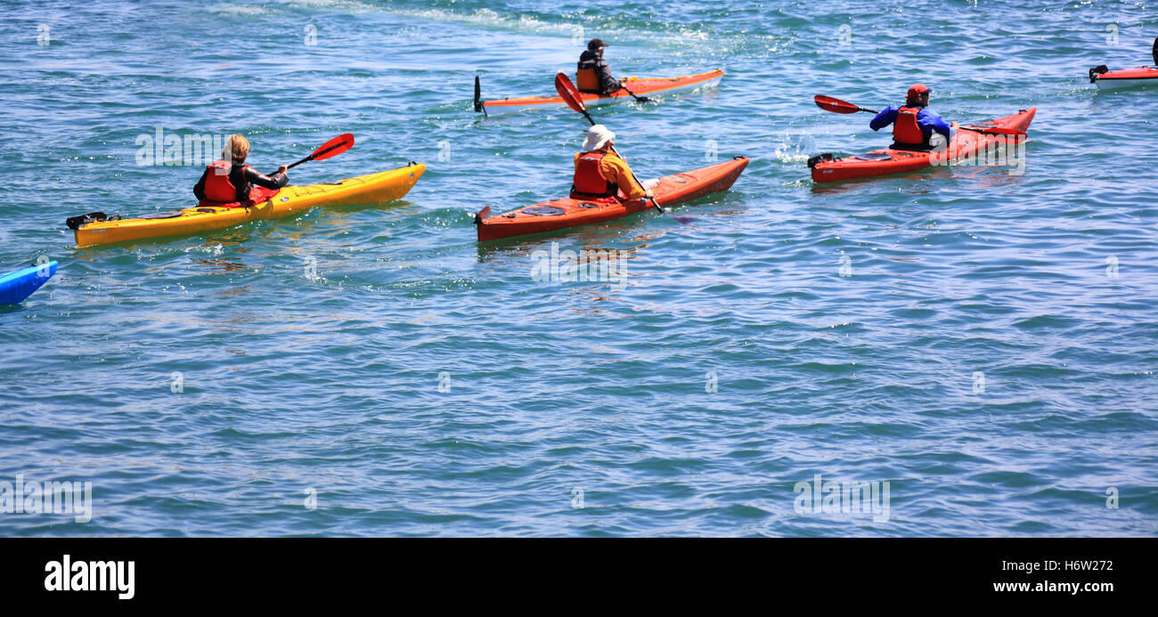 Kayakers sul lago Foto Stock