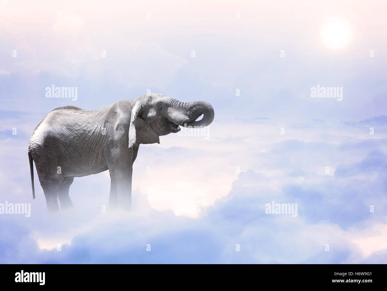 Big Blu grande enorme extreme potente imponente immenso pertinente modello di progetto di design concept bozza del piano di mammifero animale selvatica Foto Stock