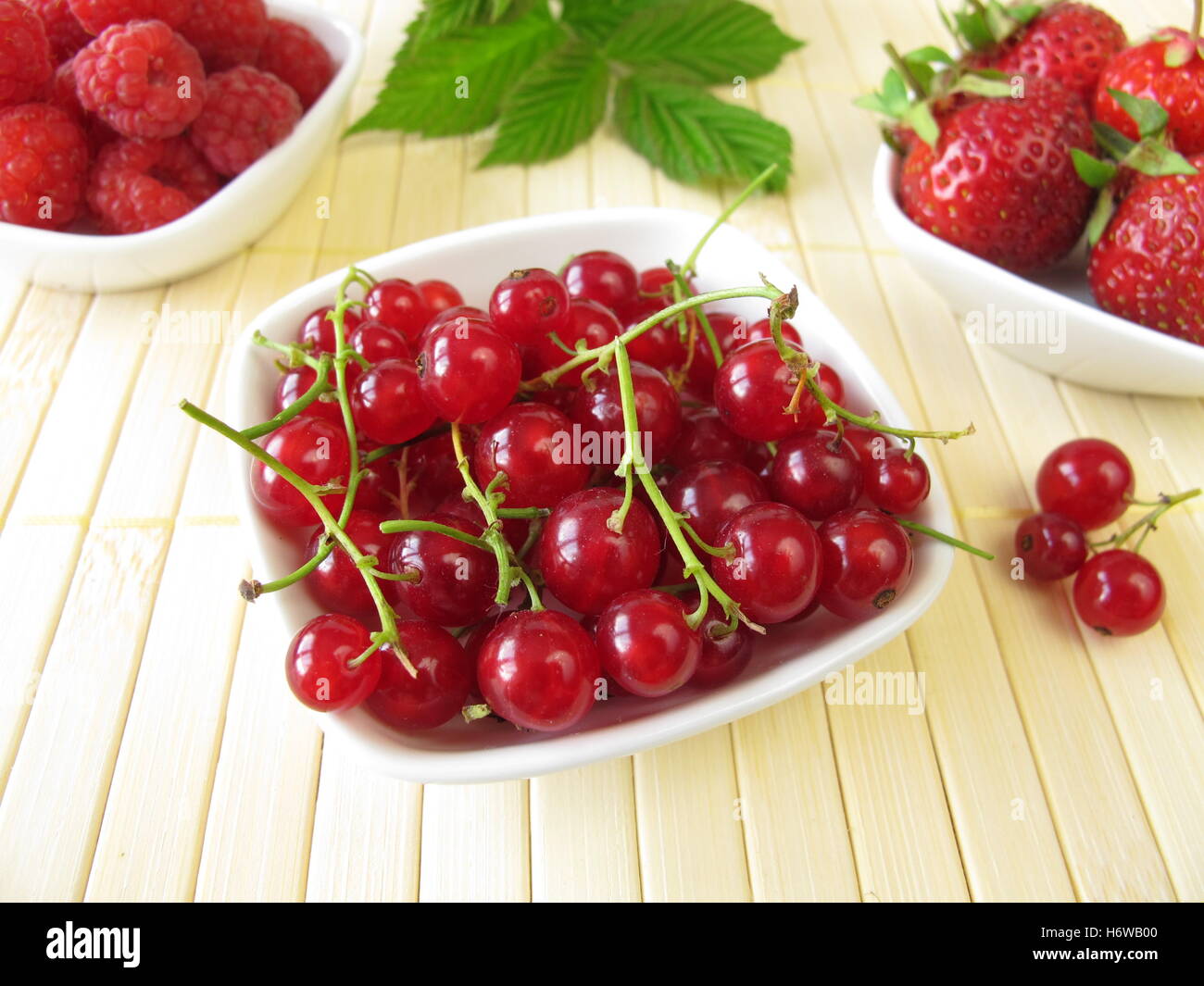 Rosso di bacche di estate Foto Stock