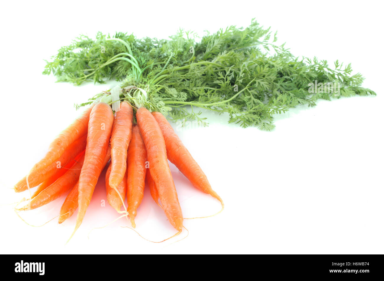 La freschezza di carote carota precoce di alimenti freschi aliment macro close-up di ammissione macro close up view studio ramo vegetale bouquet Foto Stock