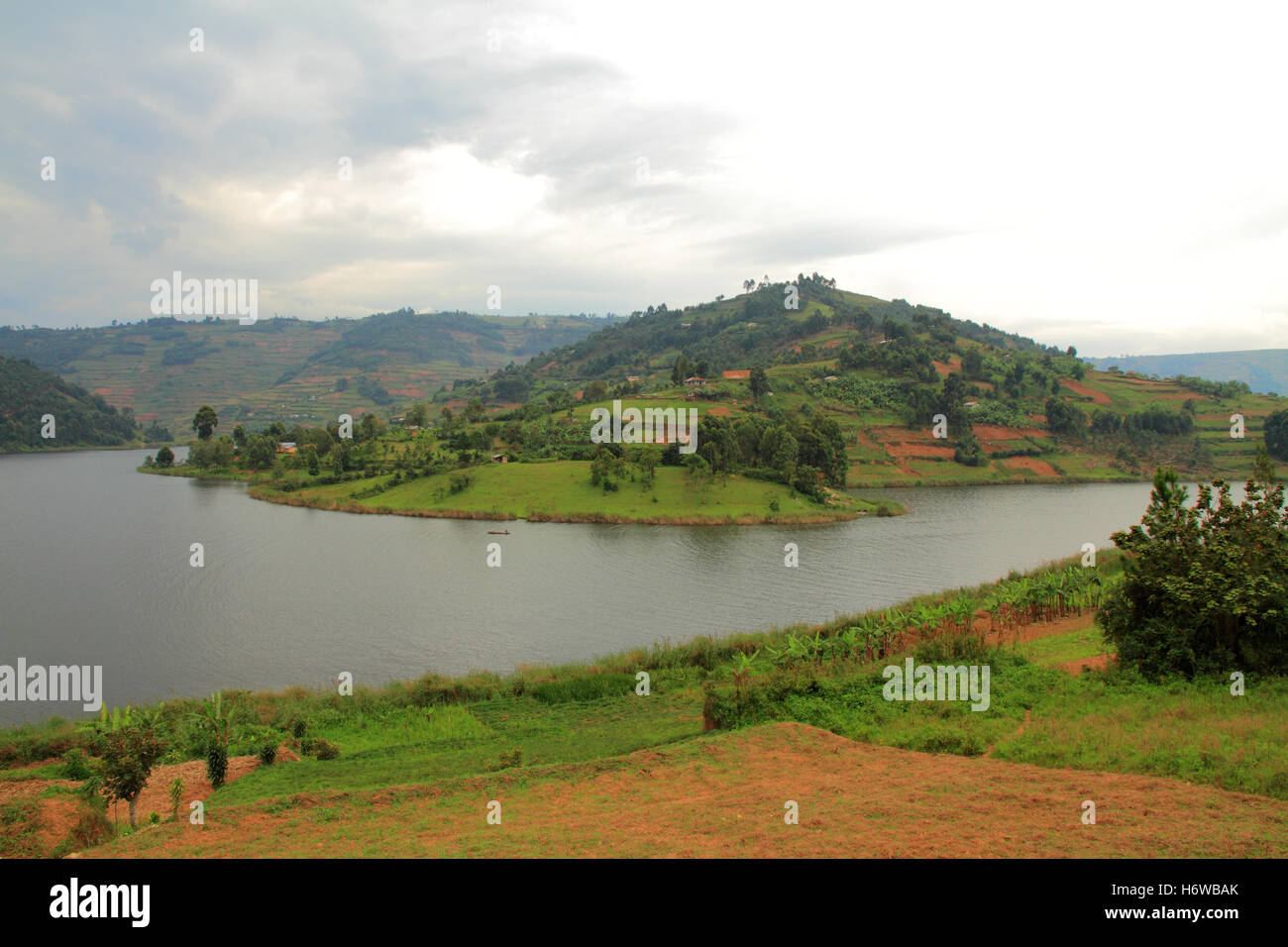 campi in erba Foto Stock