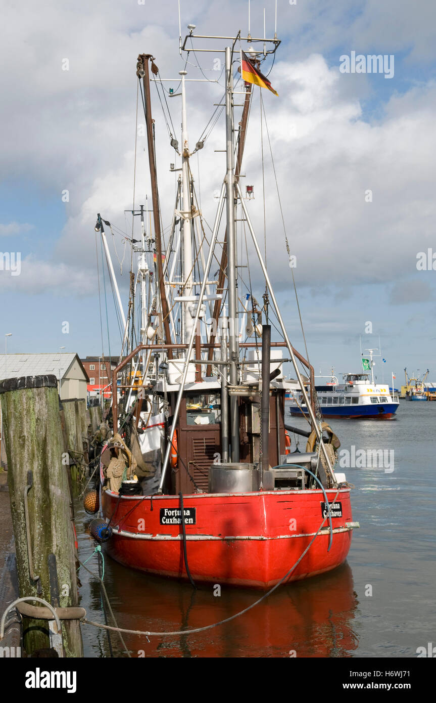 Barca da pesca nel vecchio porto da pesca, North Sea Resort a Cuxhaven, Bassa Sassonia Foto Stock