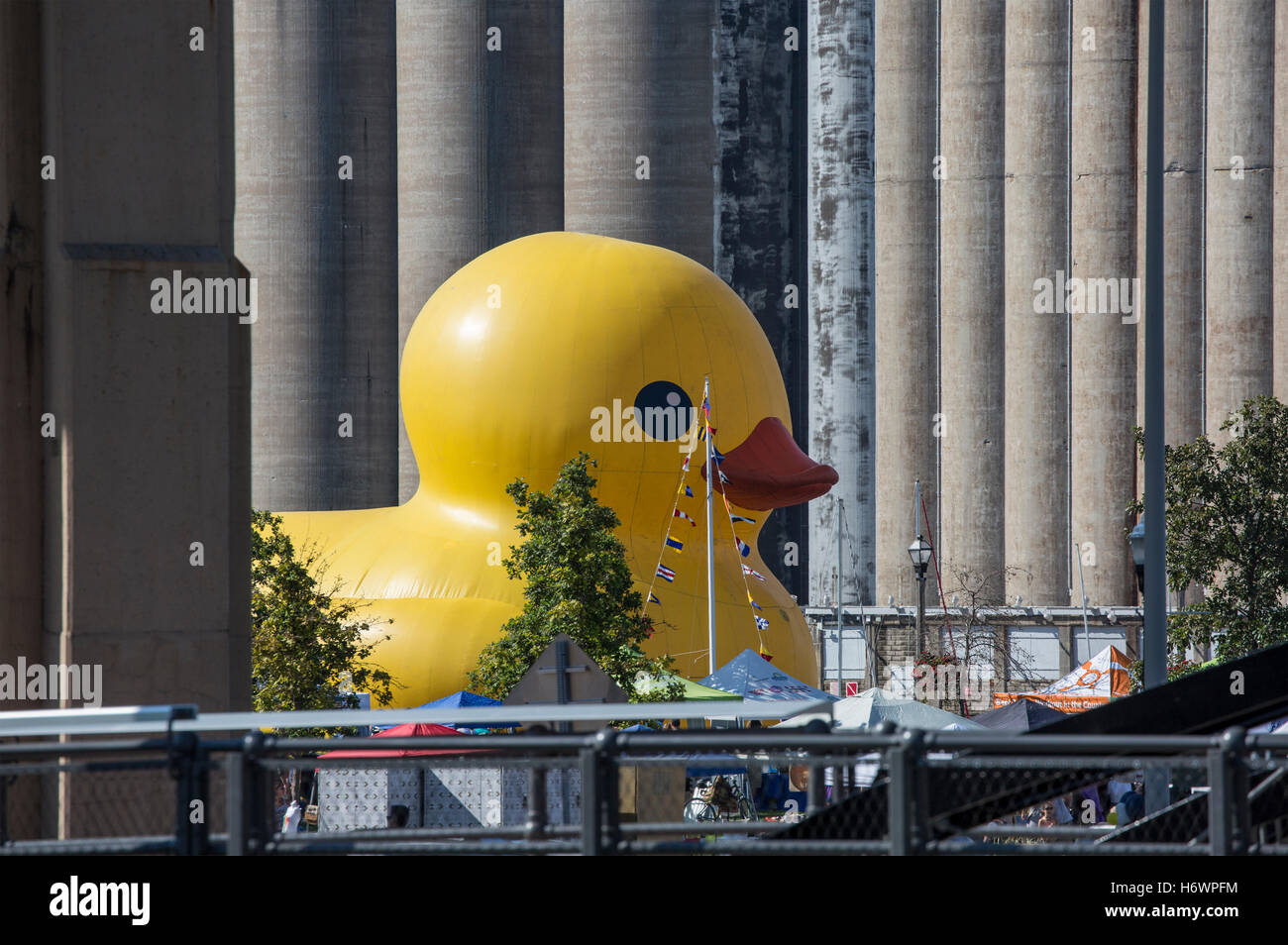 Gonfiabile gigante anatra di gomma nella parte anteriore del silos per il grano. Foto Stock
