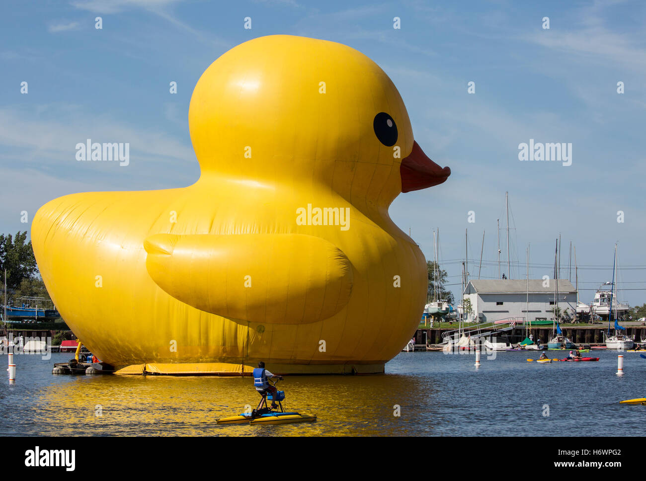 Gonfiabile gigante rubber duck sull'acqua, Buffalo New York waterfront porto. Foto Stock