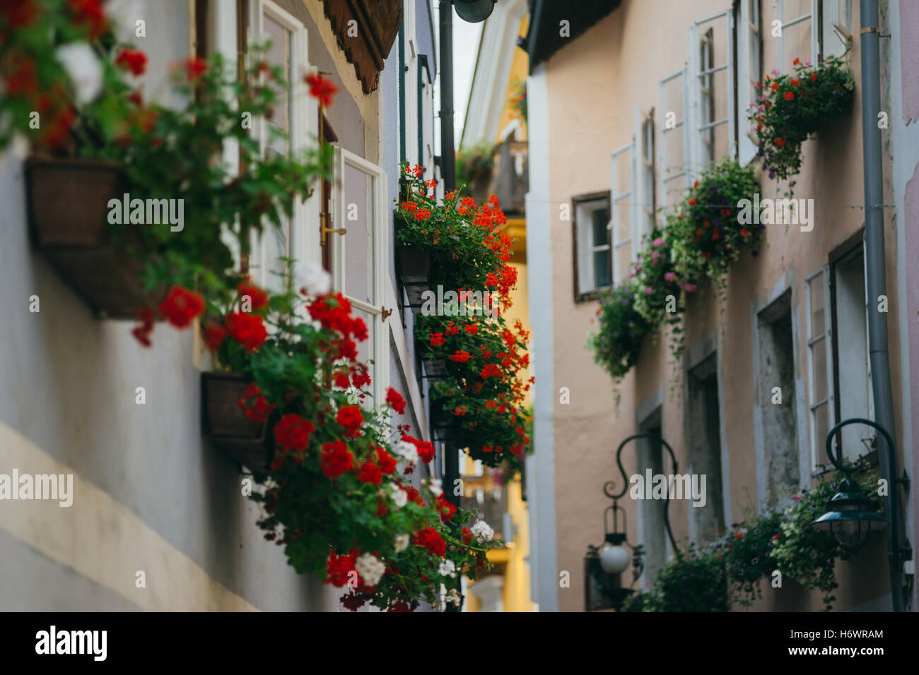 Strada stretta nella città di Hallstatt decorata con molti fiori in vasi da fiori. Salzkammergut, Austria Foto Stock
